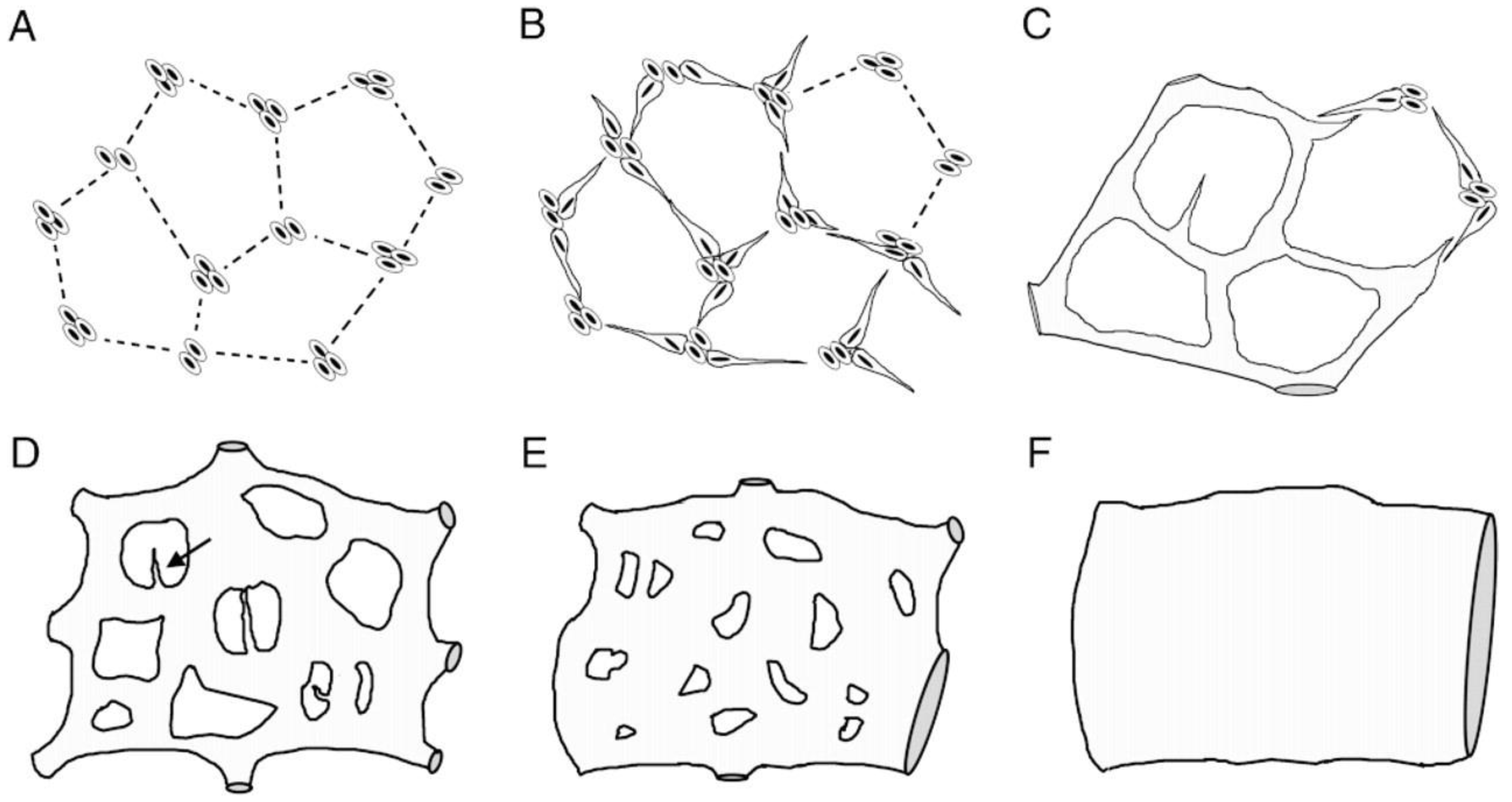 Preprints 119514 g009