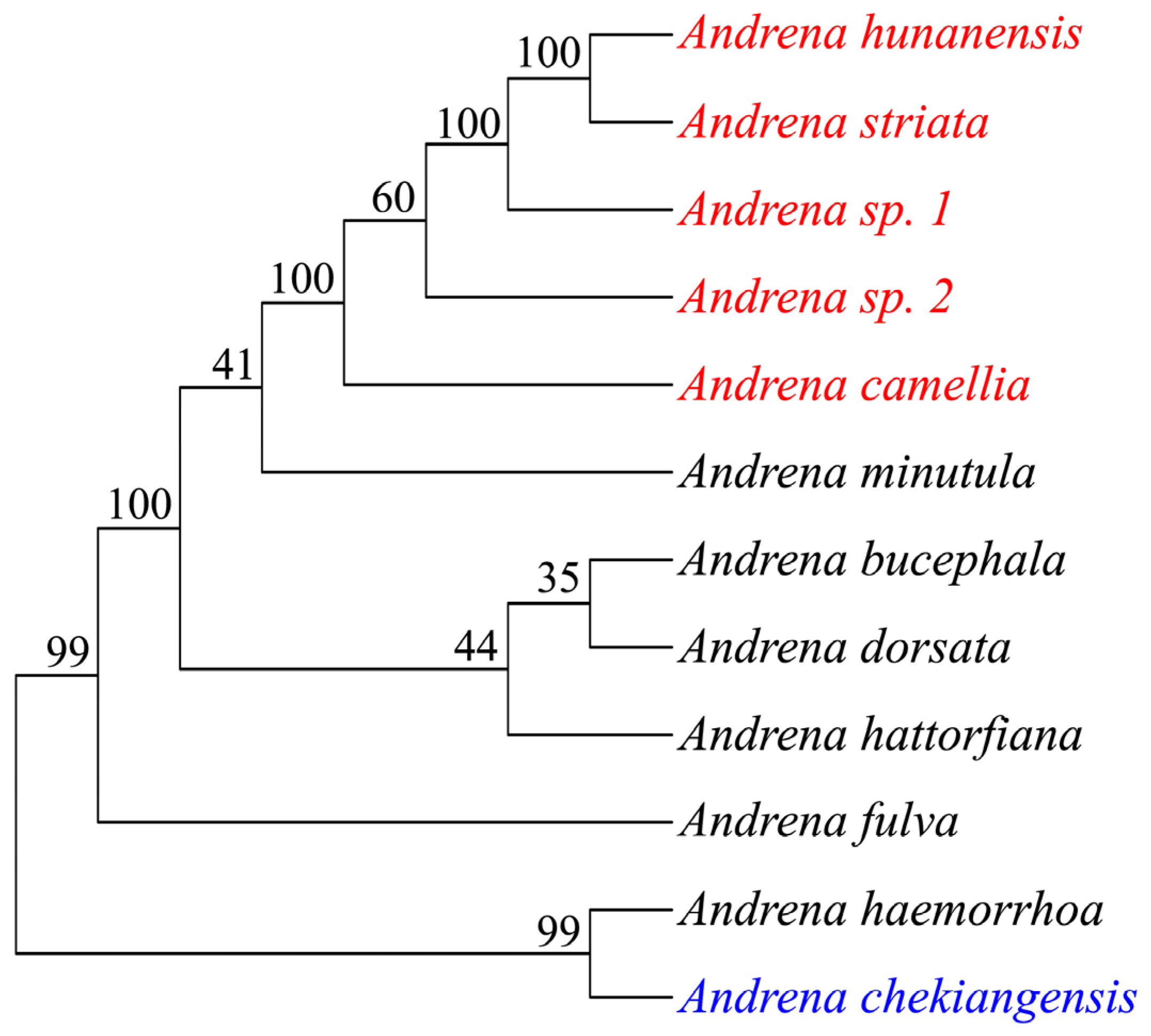 Preprints 72921 g002