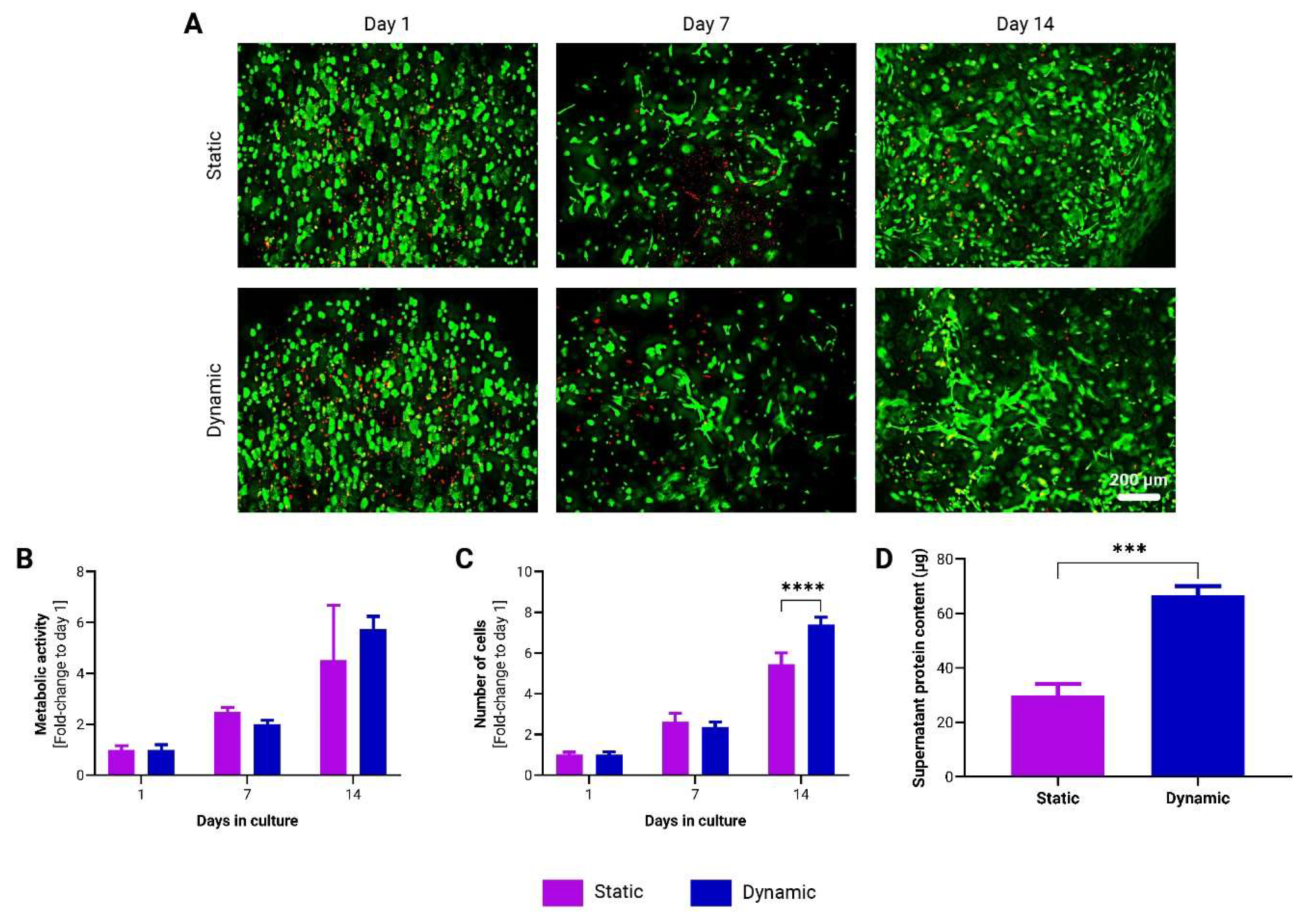 Preprints 117925 g003