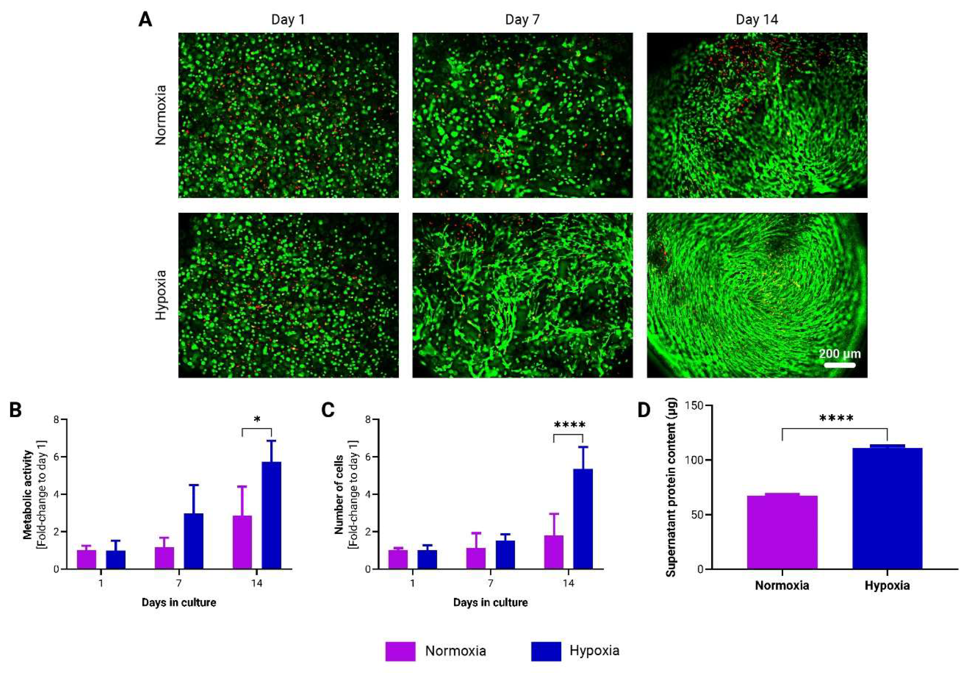 Preprints 117925 g004