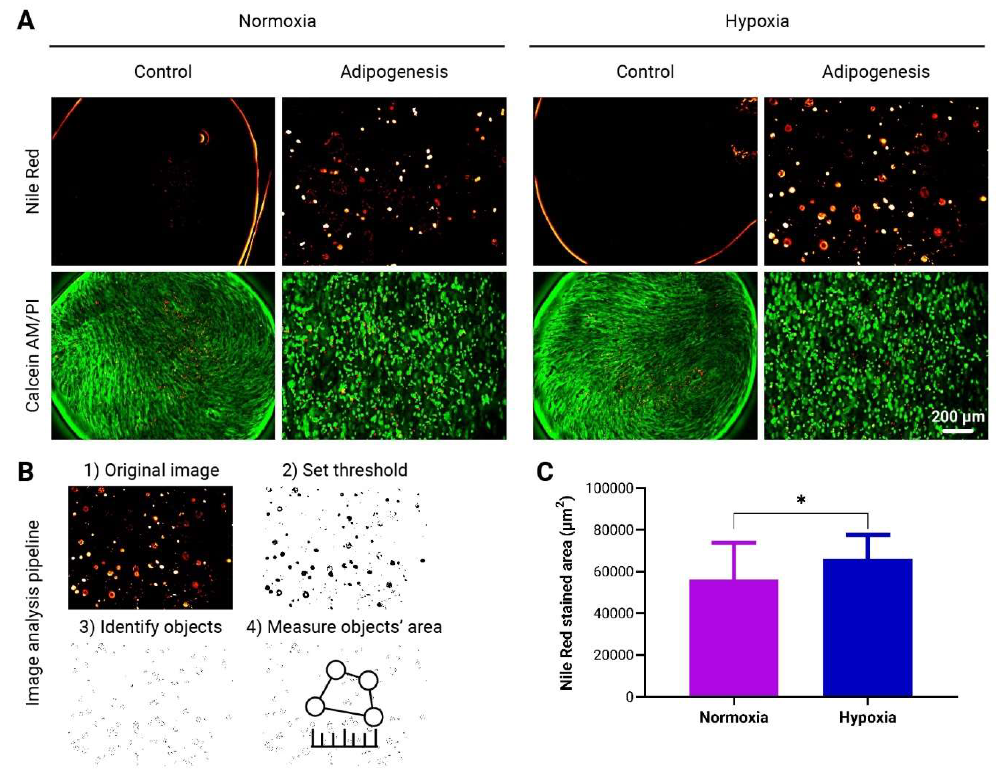 Preprints 117925 g005