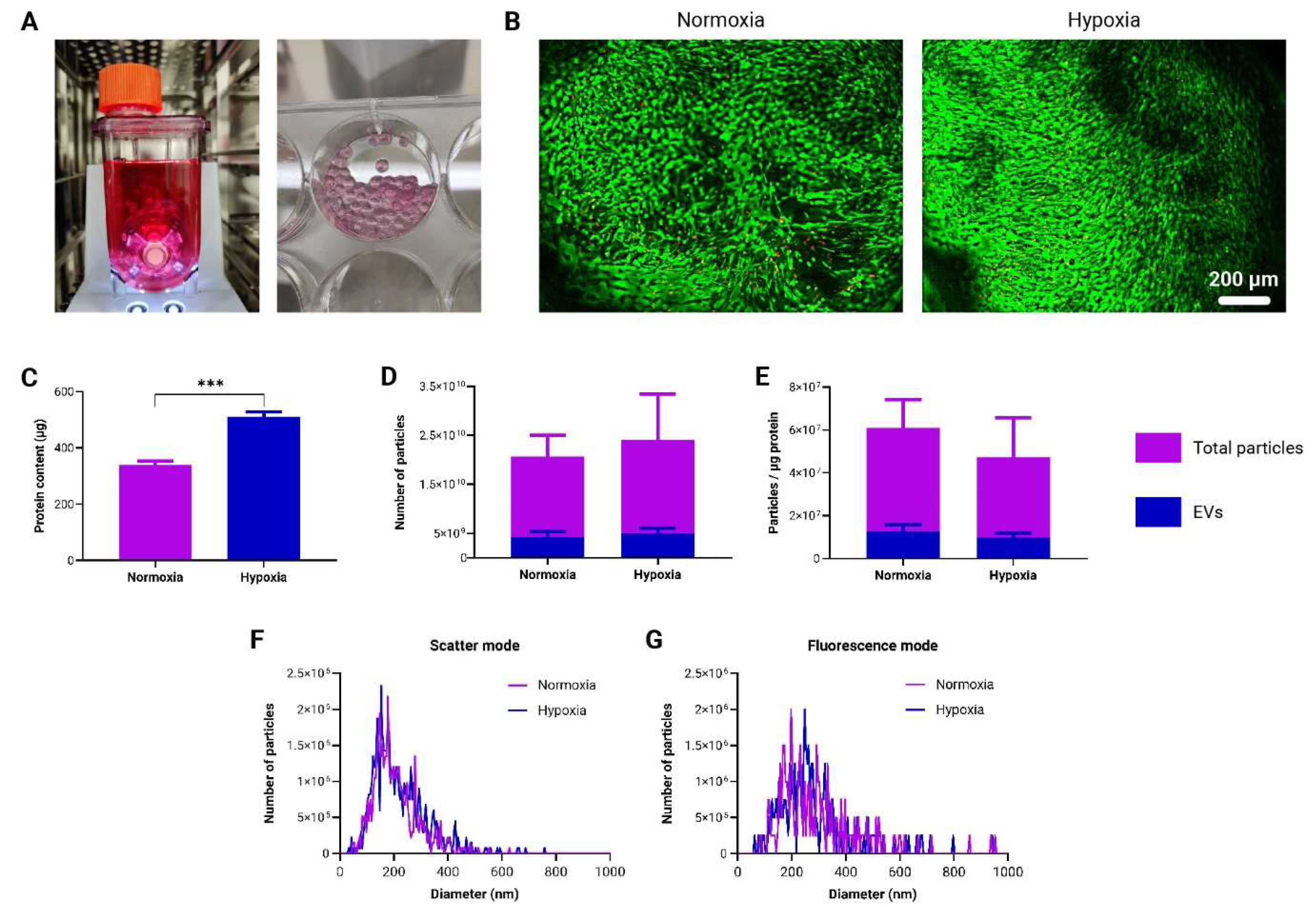 Preprints 117925 g006