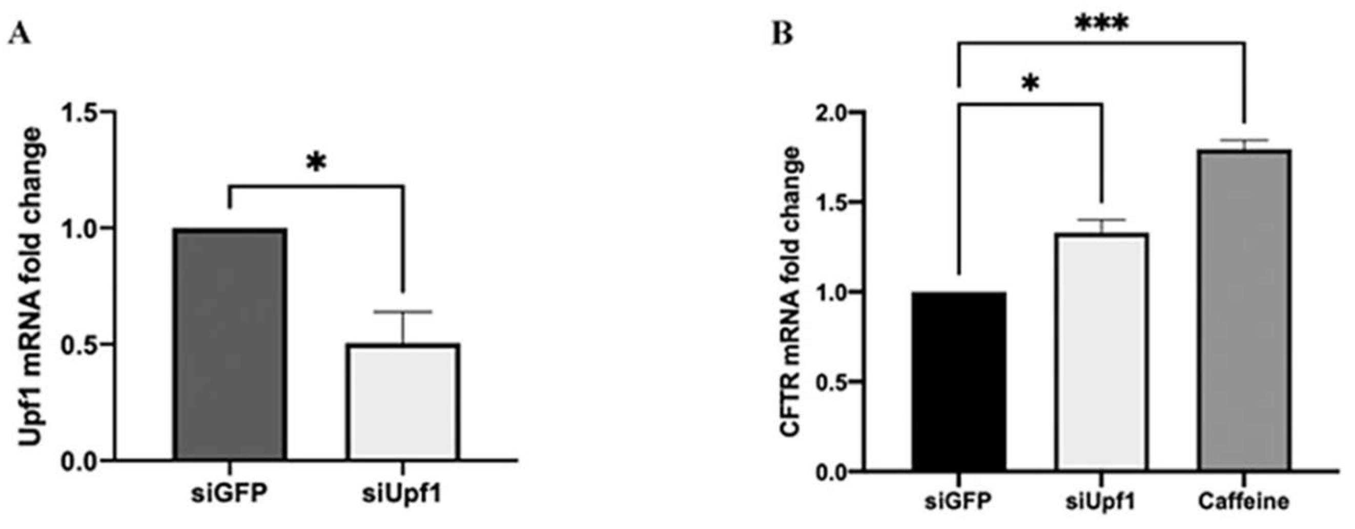 Preprints 110579 g002