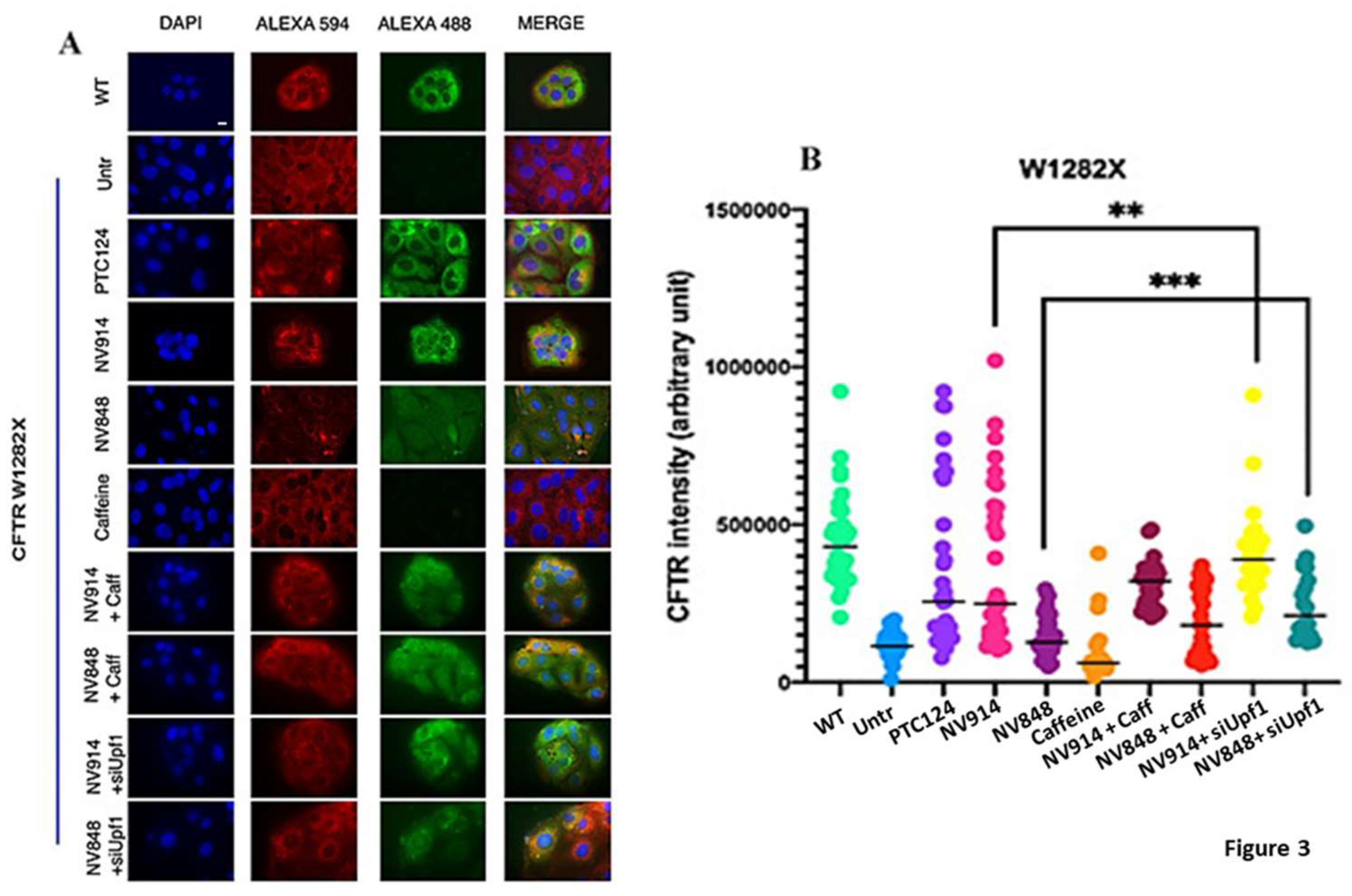 Preprints 110579 g003