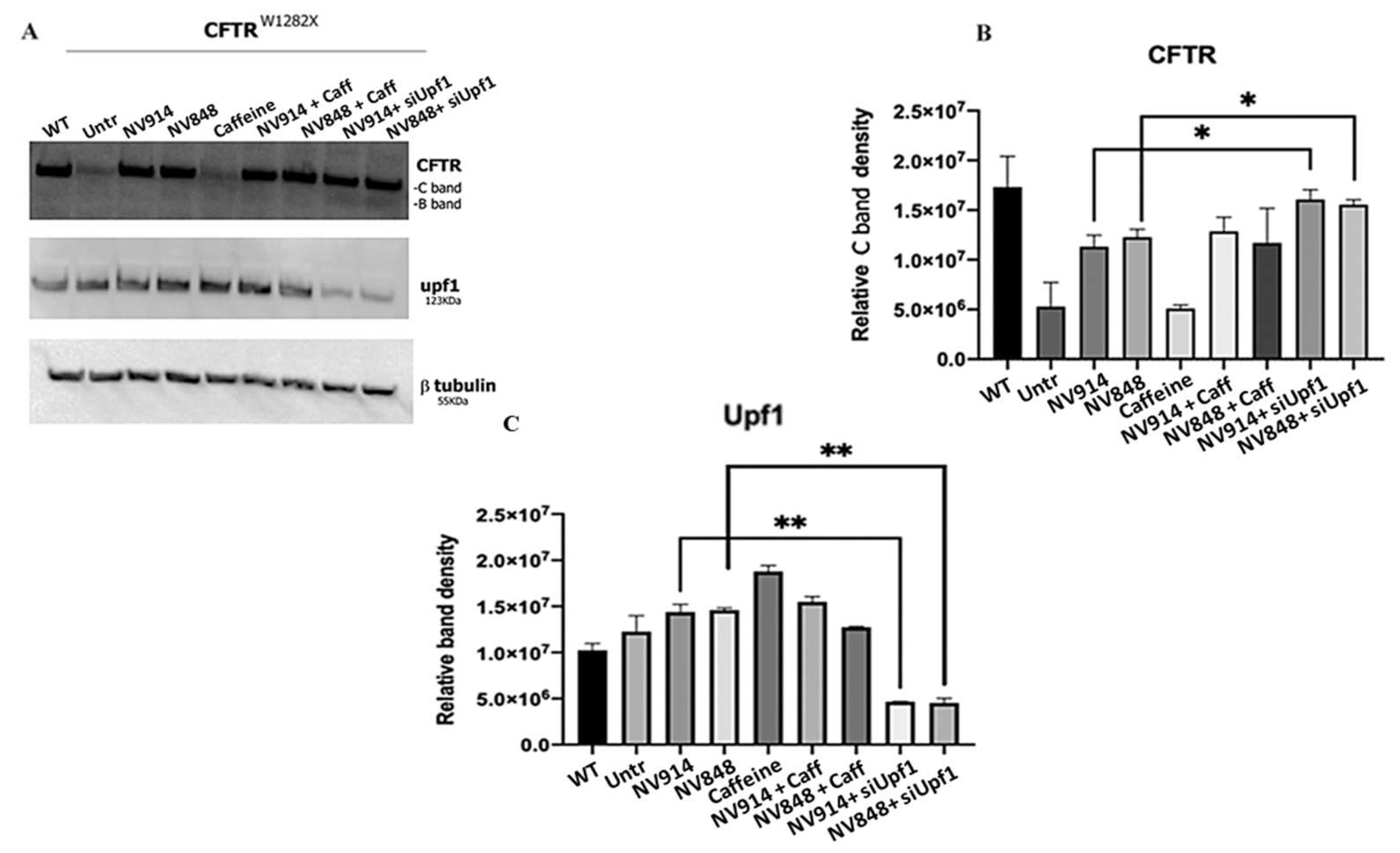 Preprints 110579 g004