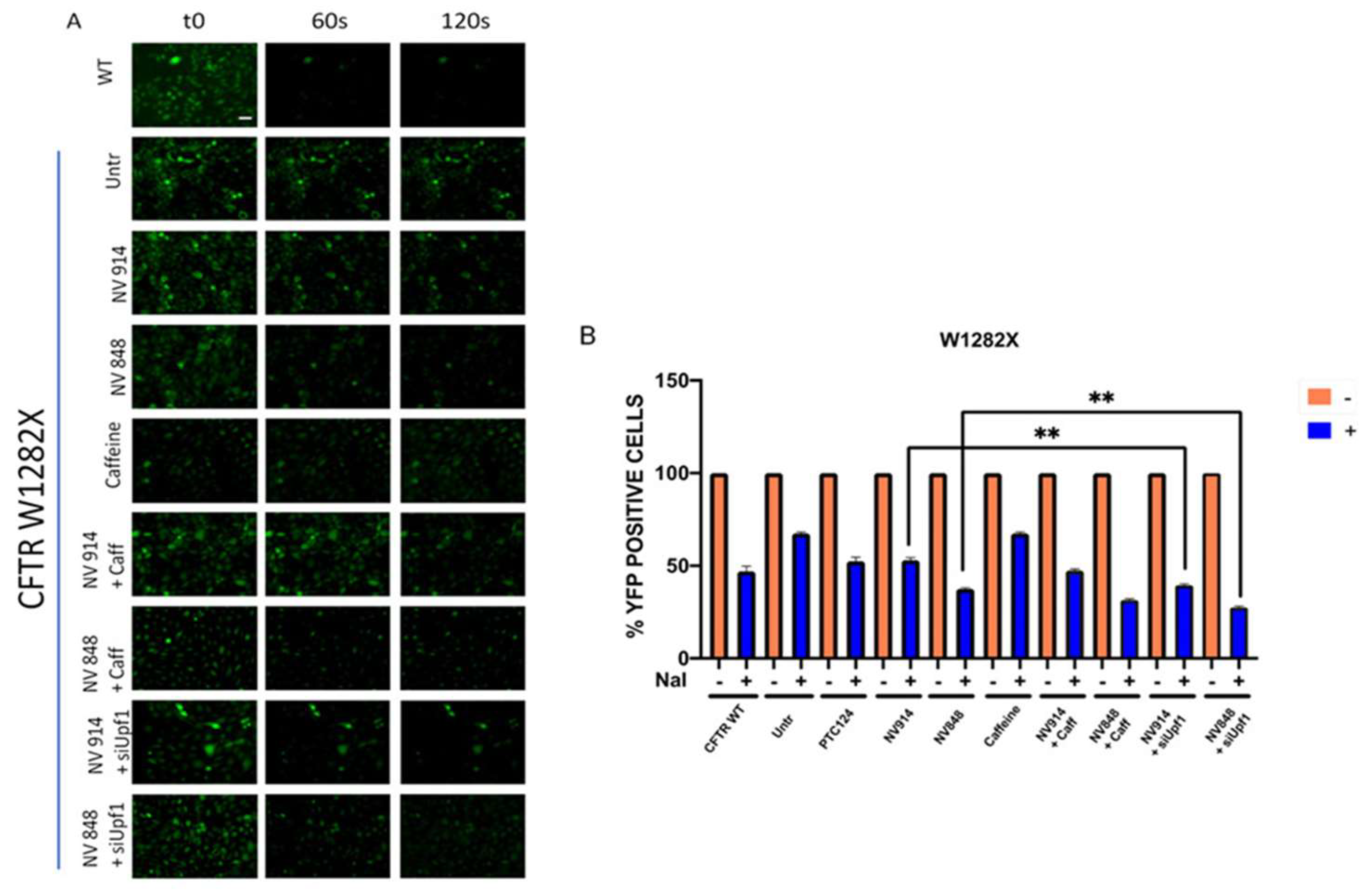 Preprints 110579 g005