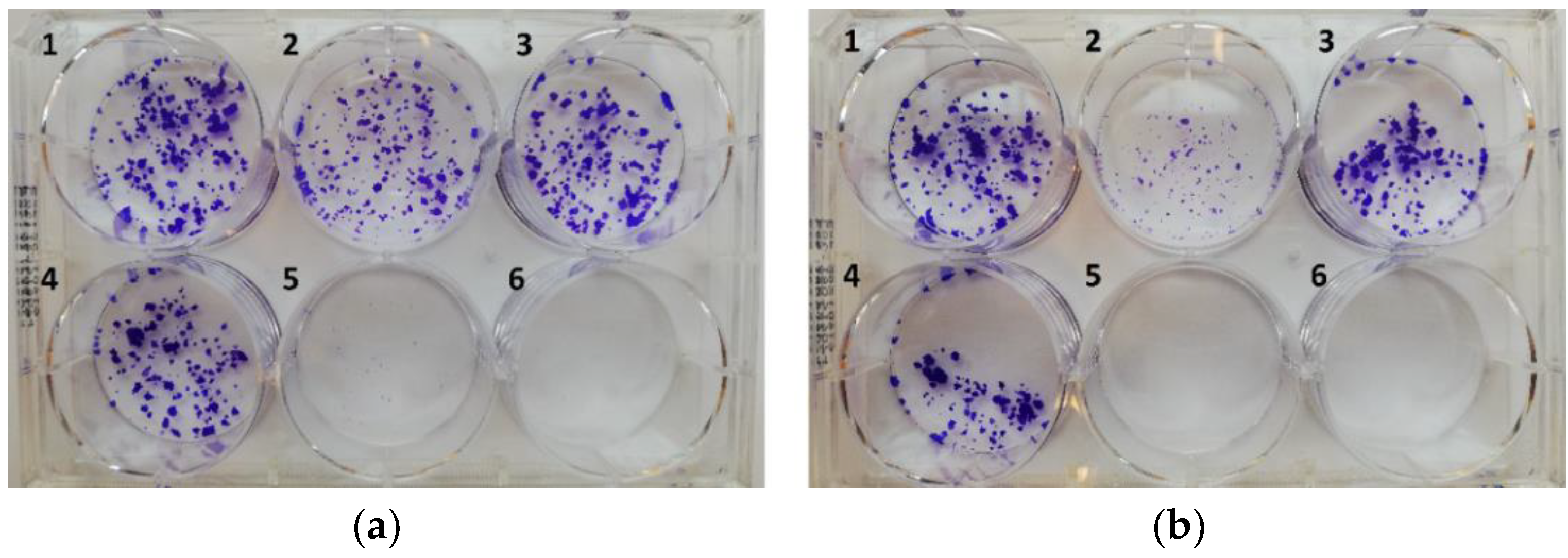 Preprints 137361 g006