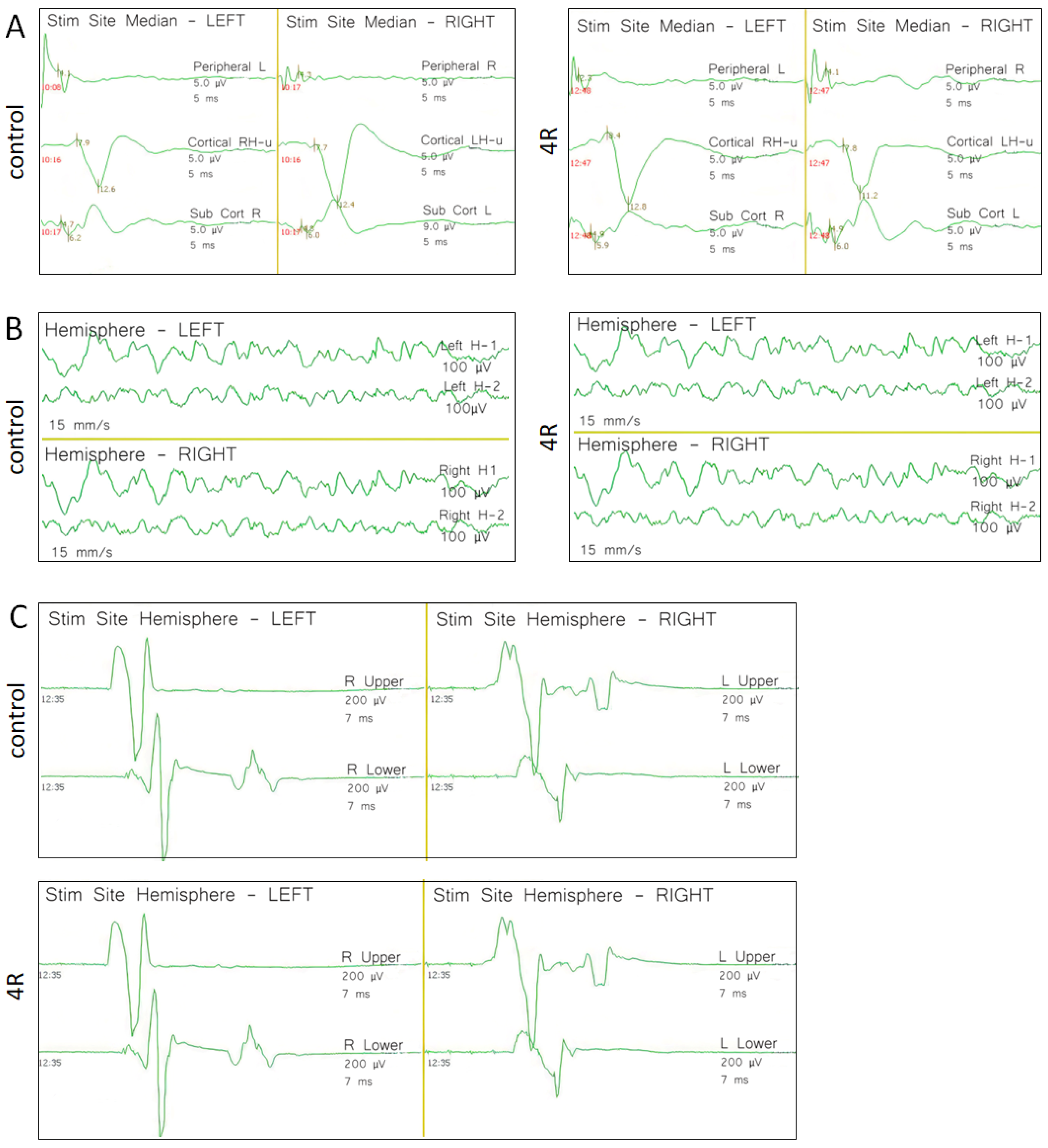 Preprints 73850 g002