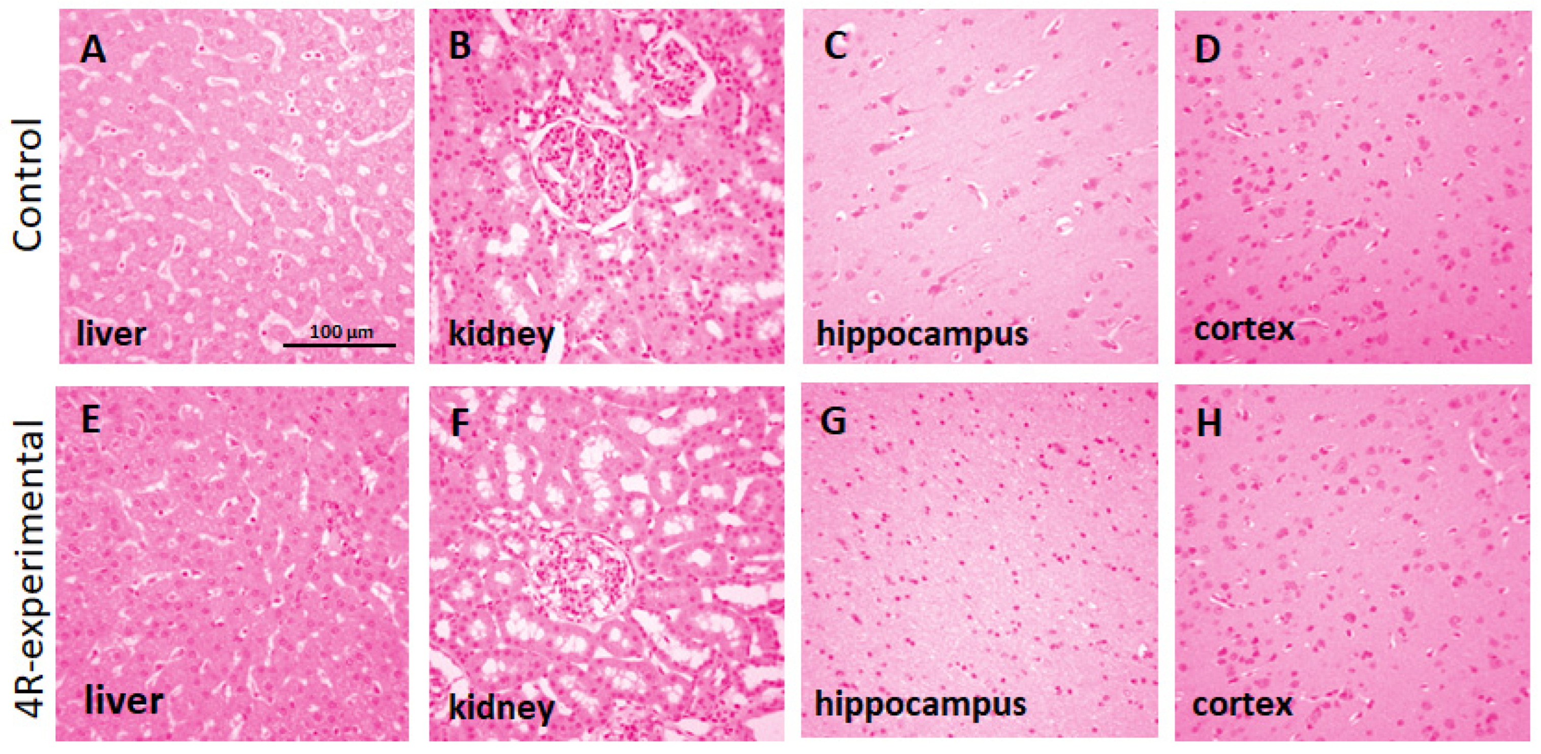 Preprints 73850 g003