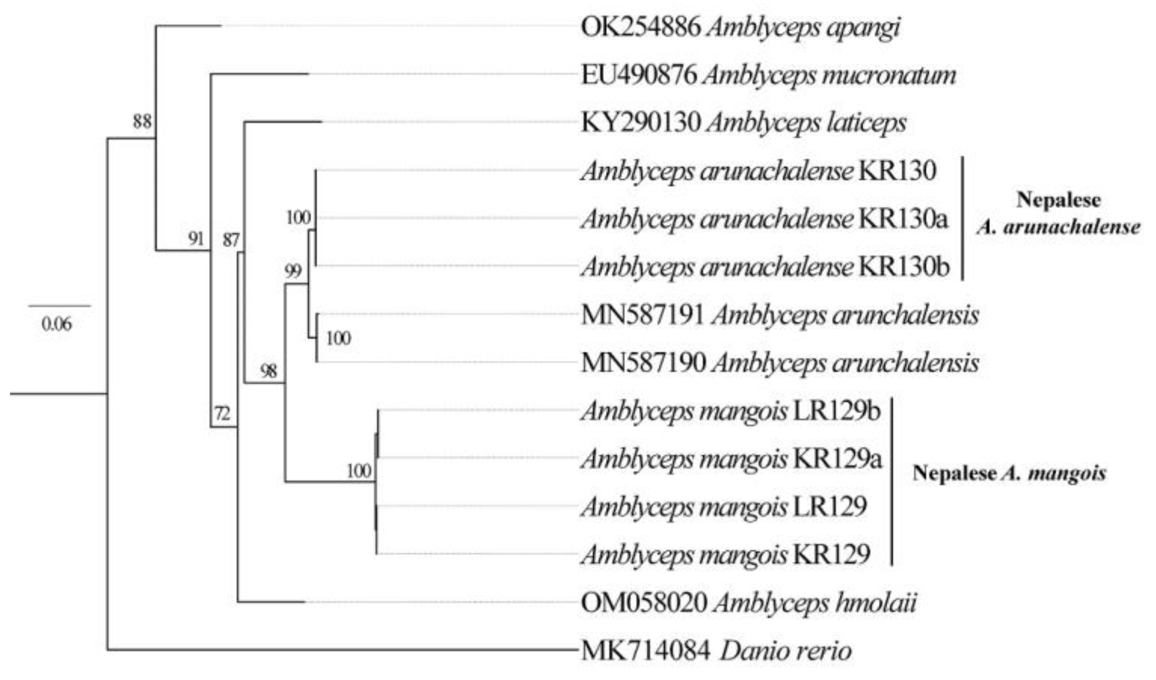 Preprints 115482 g002