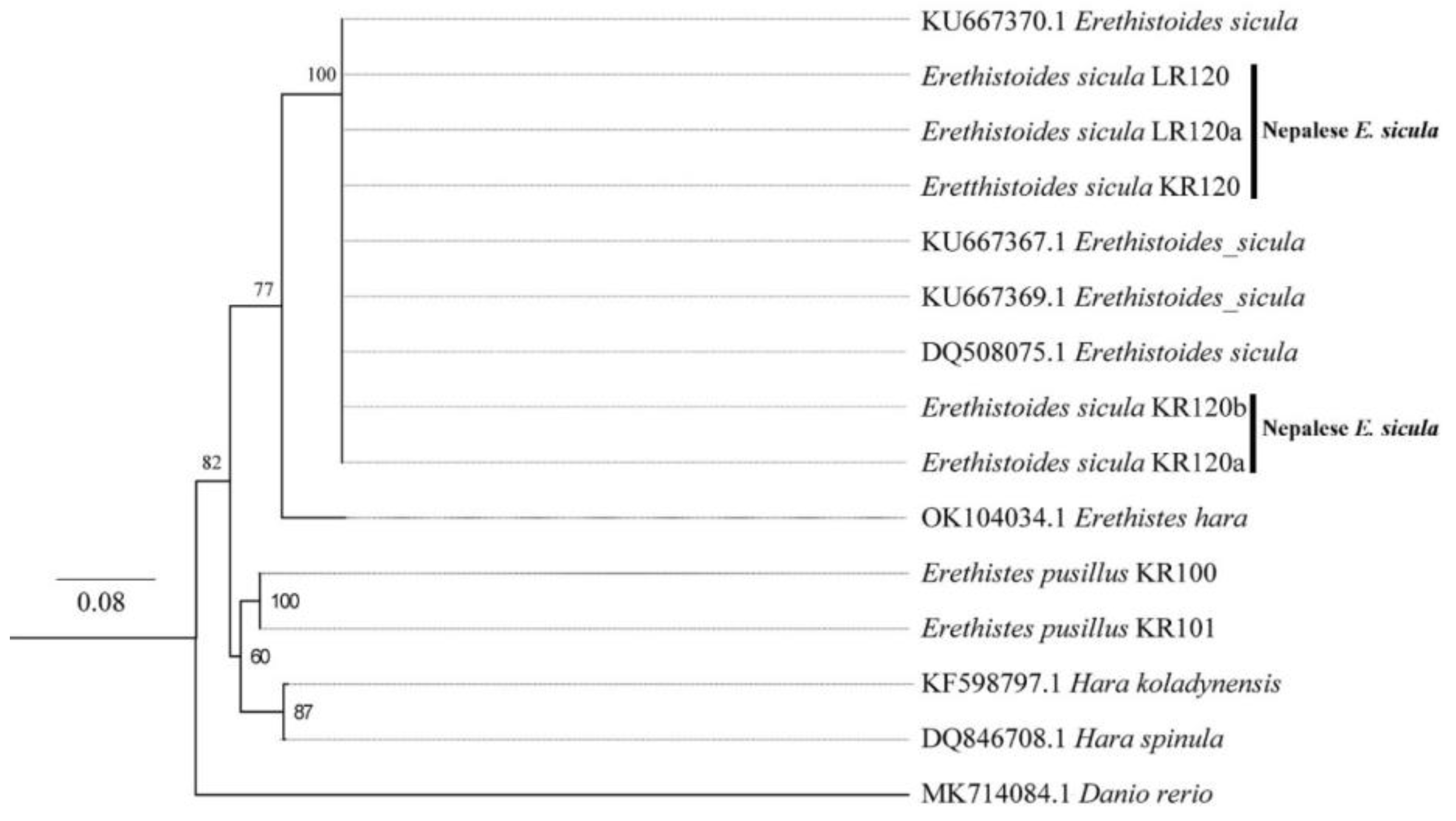 Preprints 115482 g004