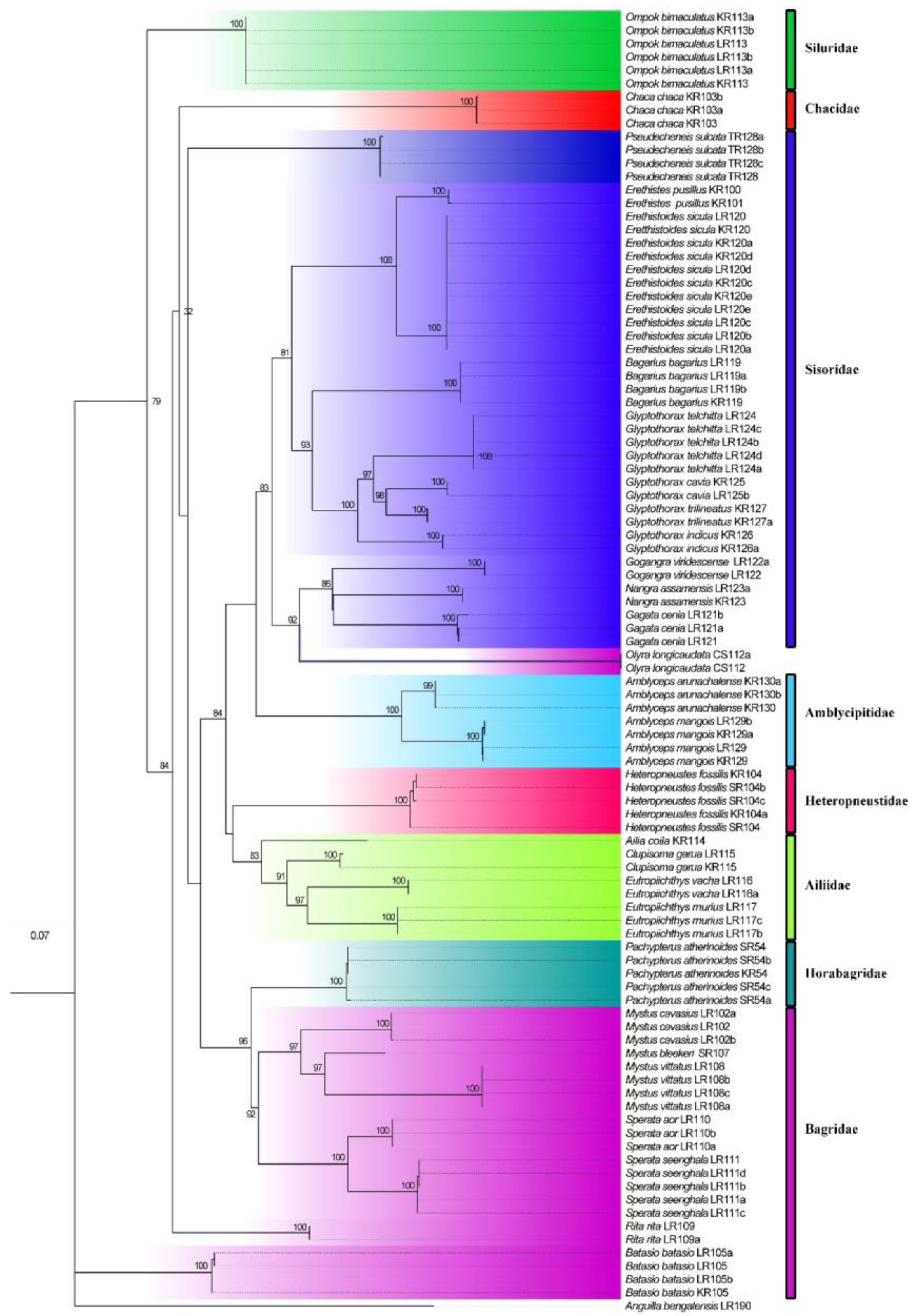 Preprints 115482 g006