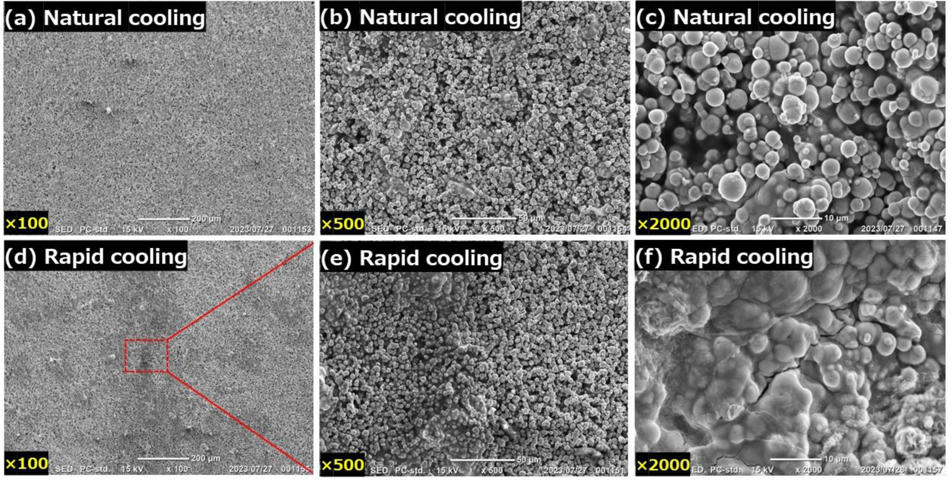 Preprints 81927 g006