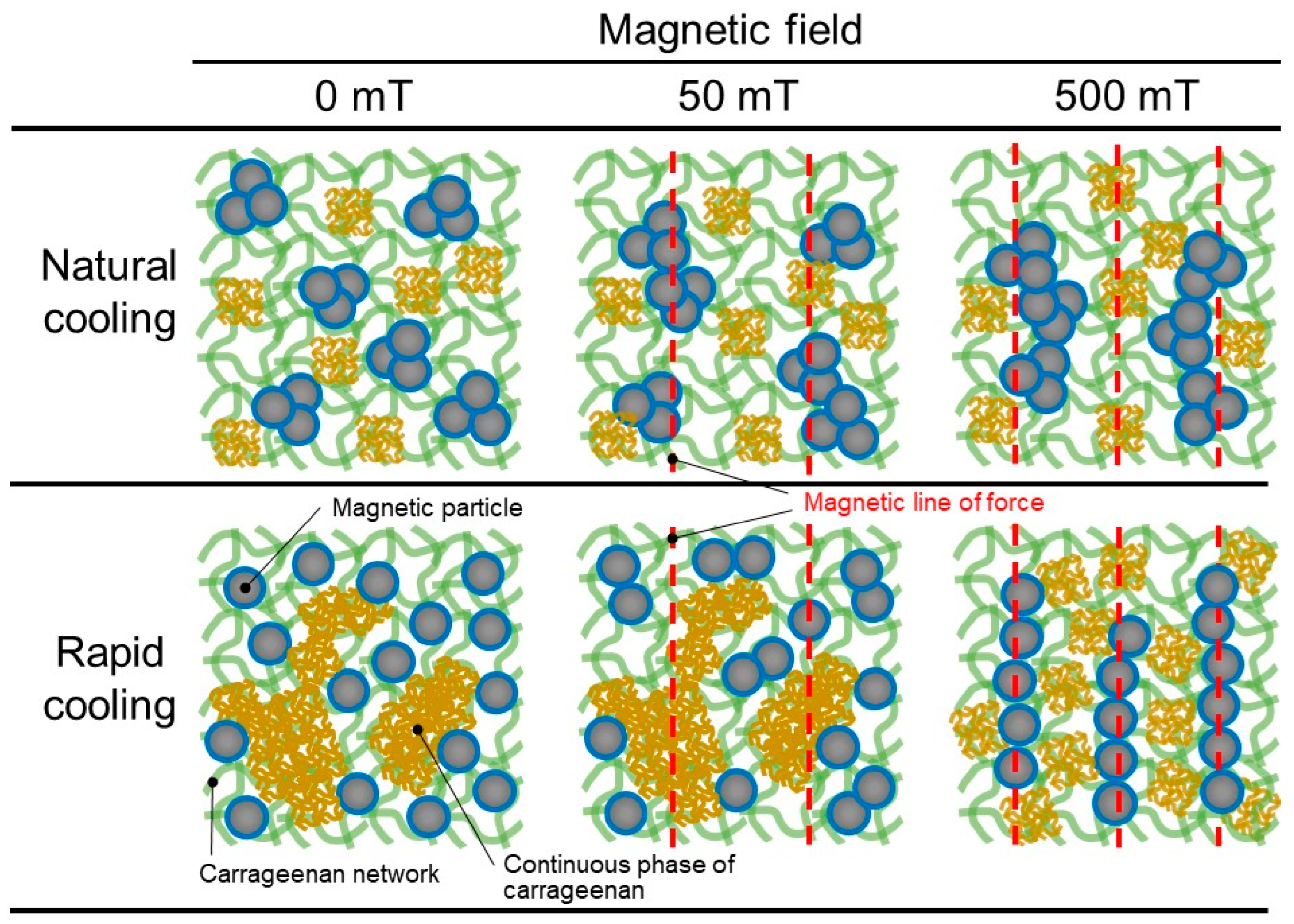 Preprints 81927 g007