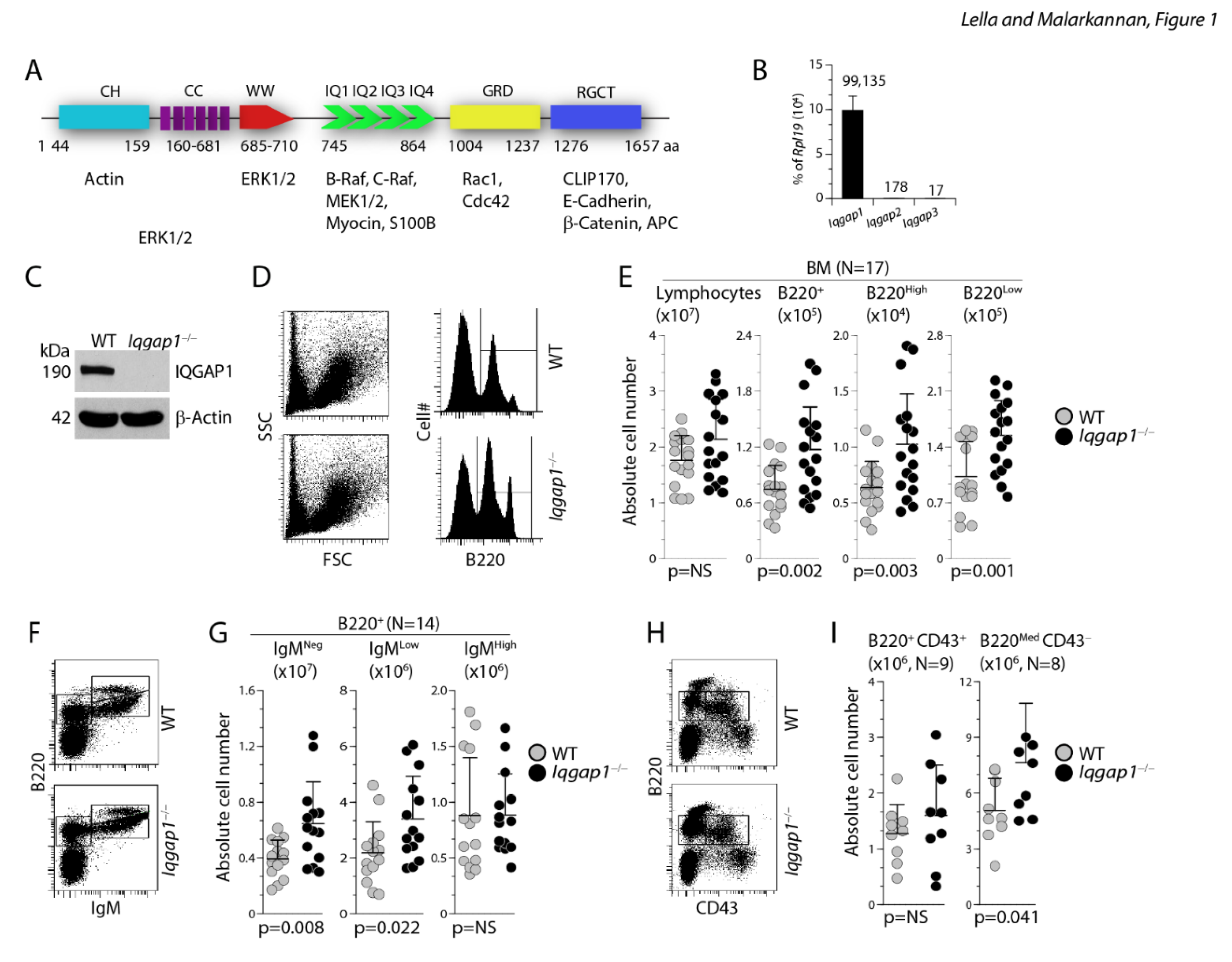 Preprints 78740 g001