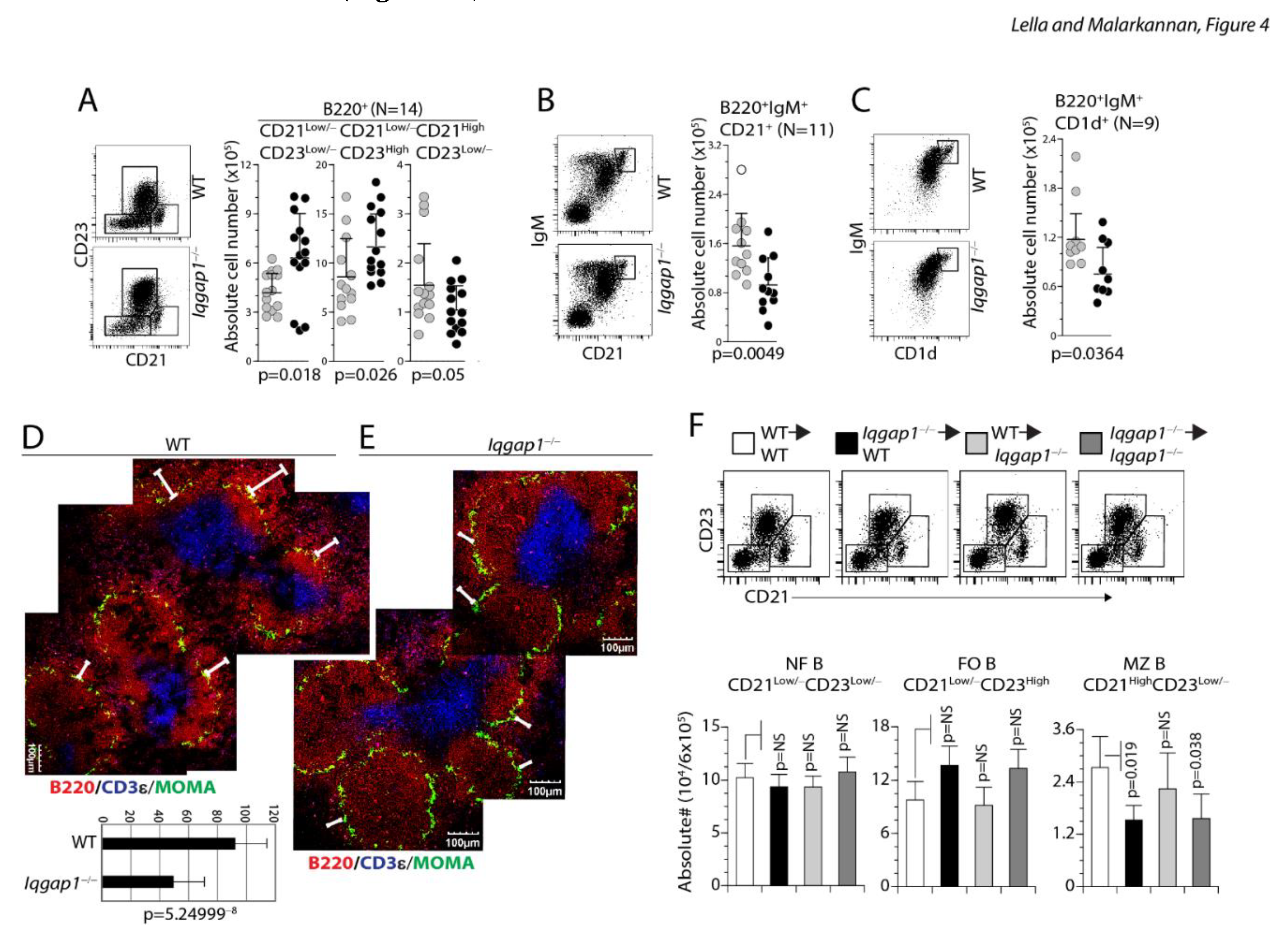 Preprints 78740 g004