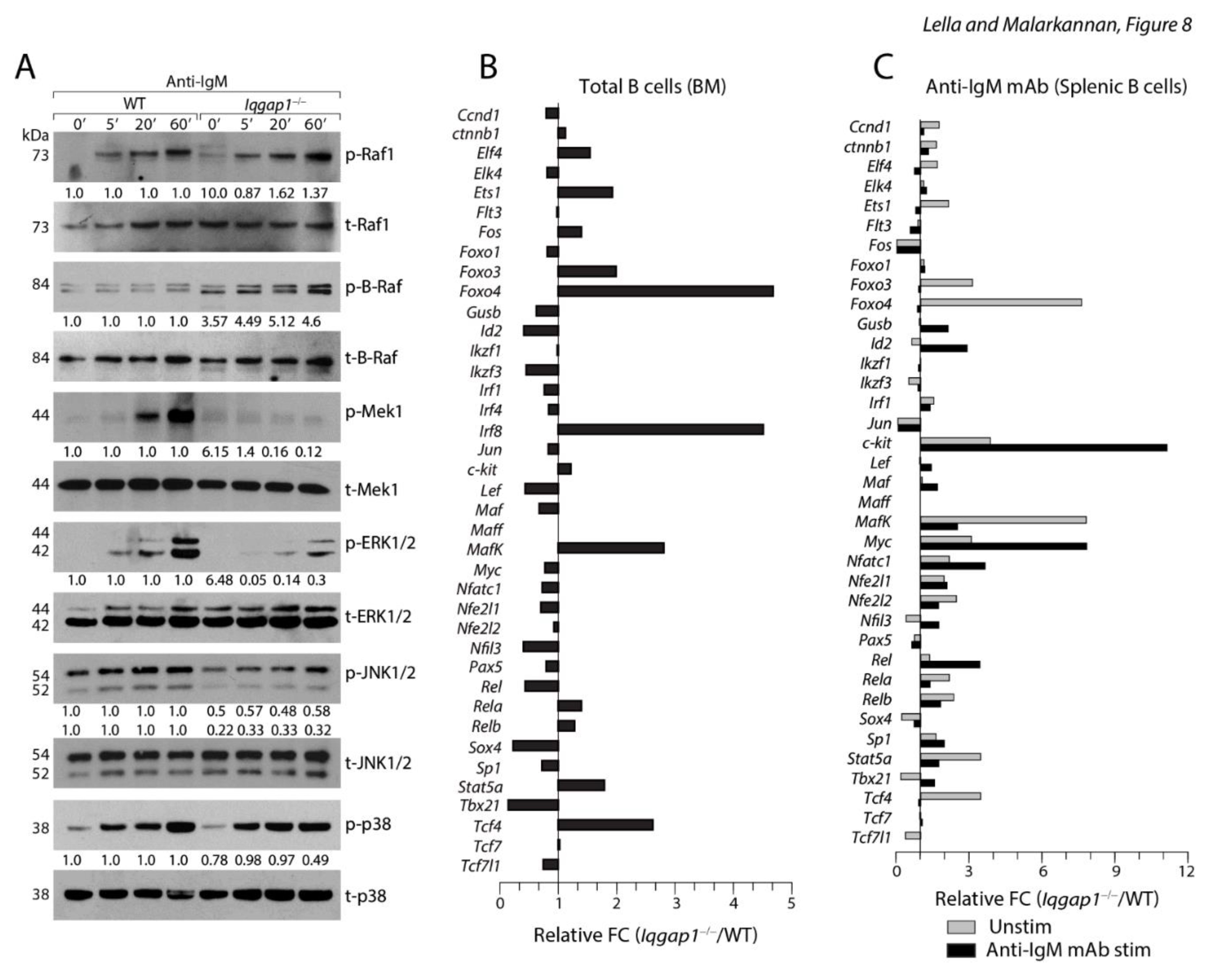 Preprints 78740 g008