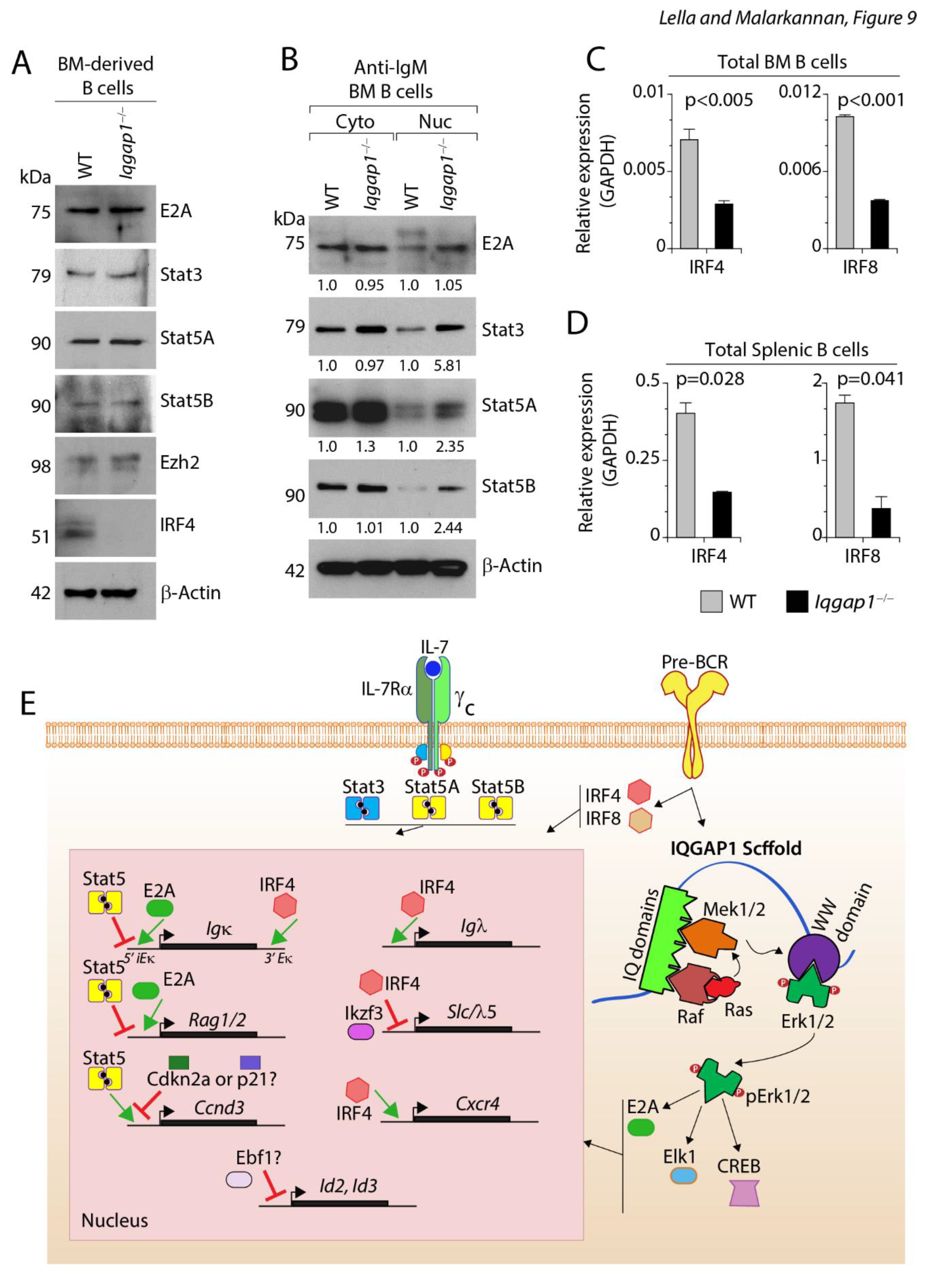 Preprints 78740 g009