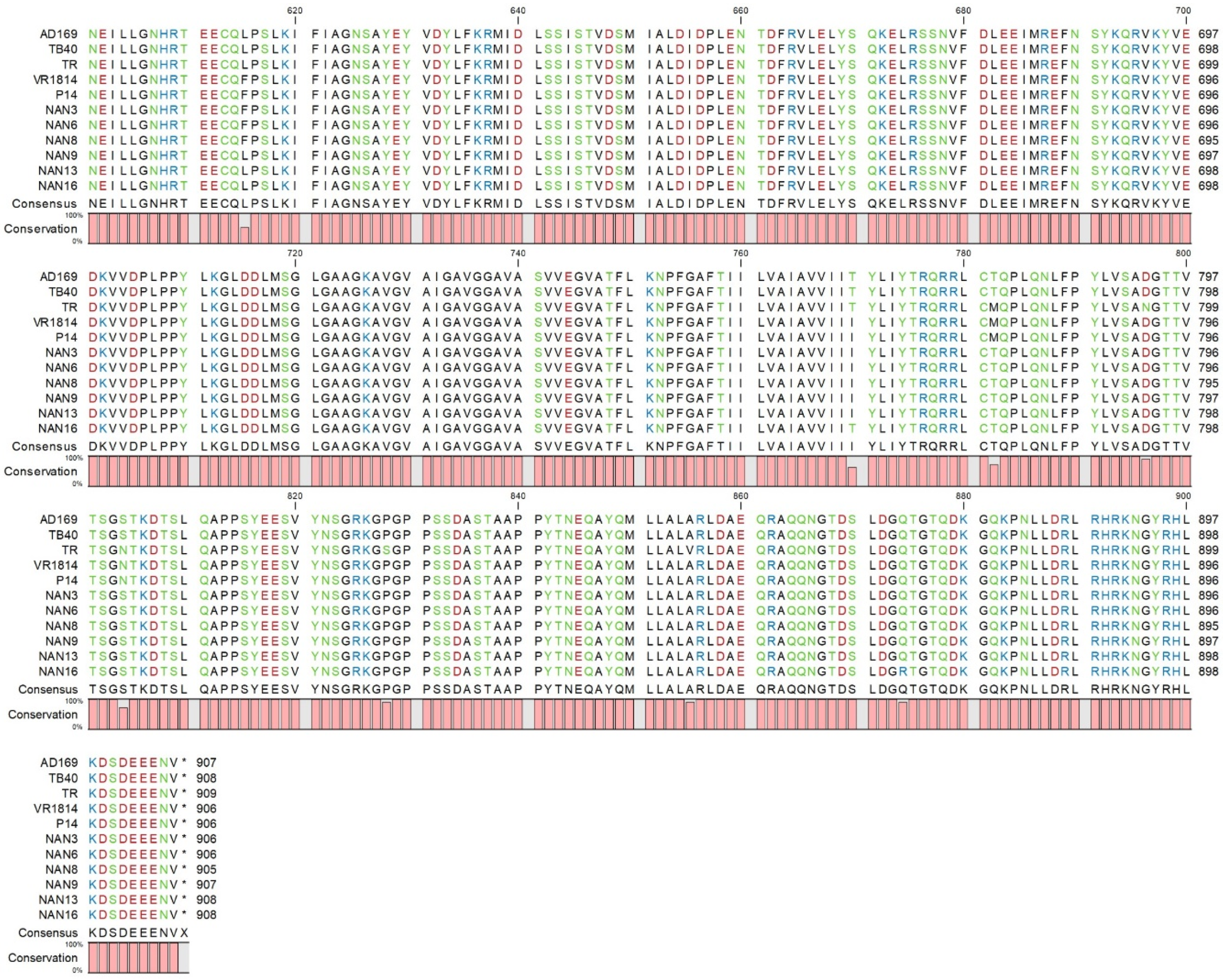 Preprints 69272 g001b