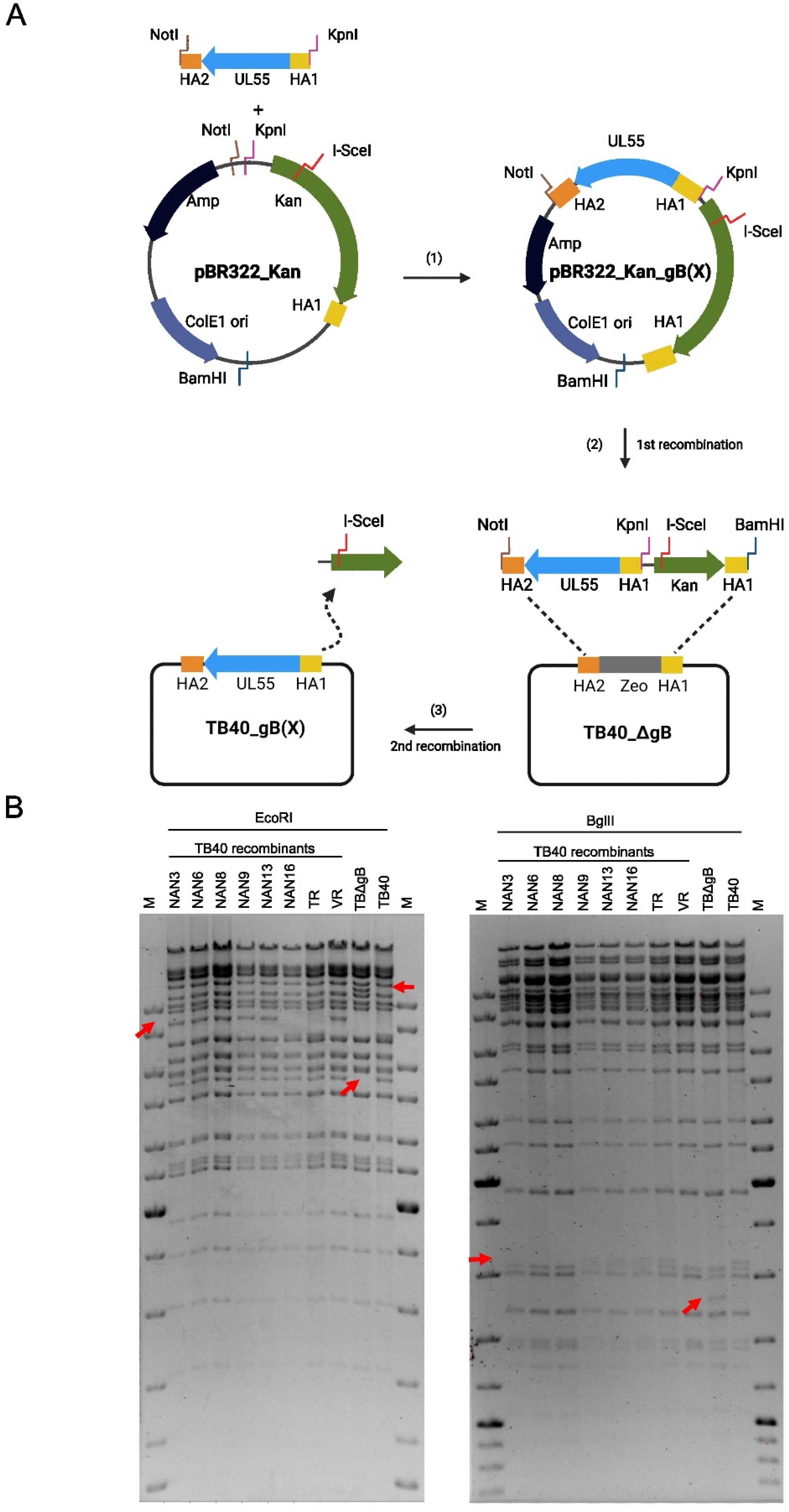 Preprints 69272 g002