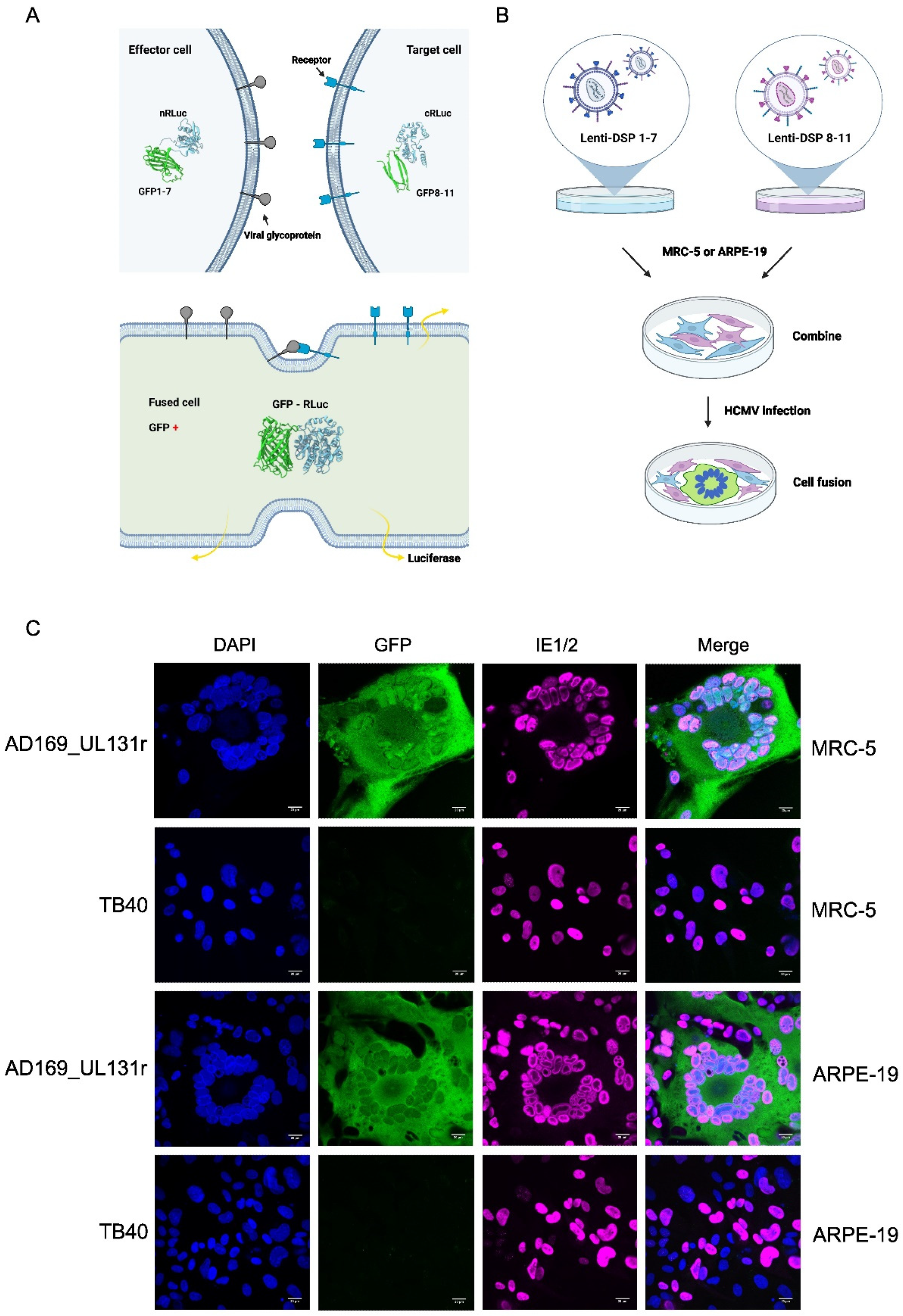 Preprints 69272 g003