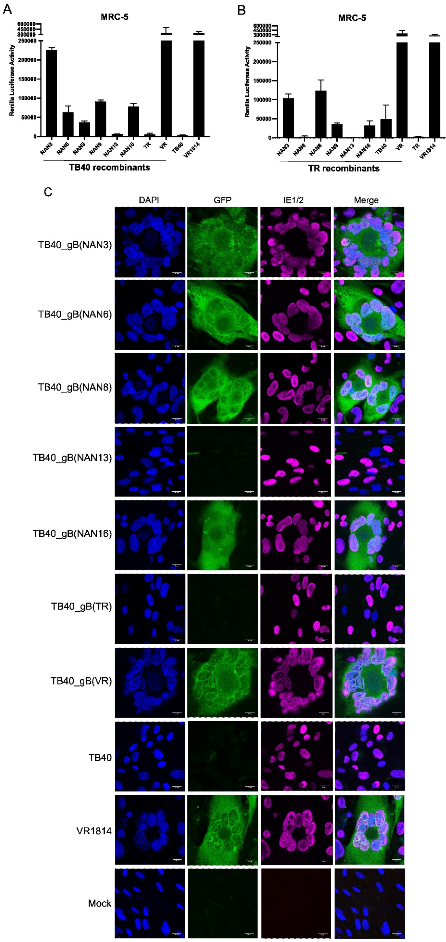 Preprints 69272 g004