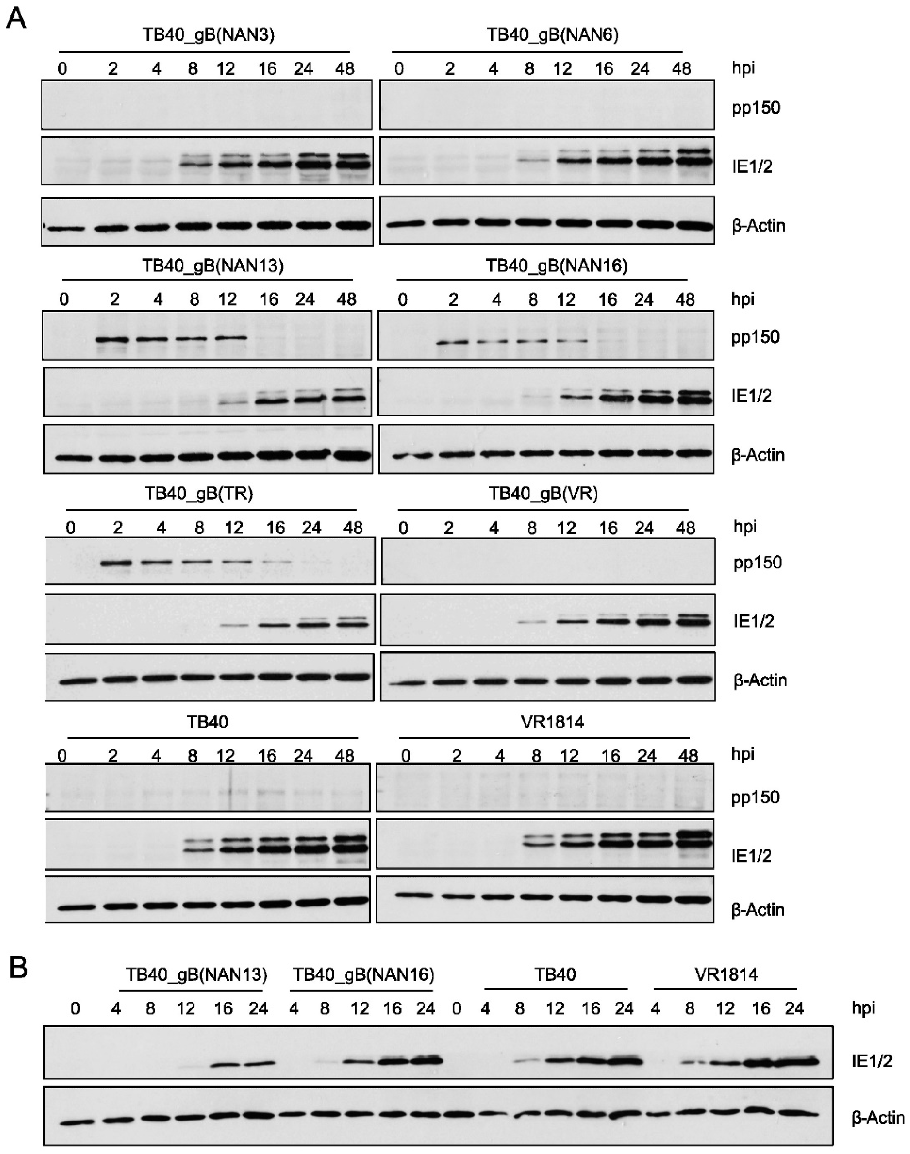 Preprints 69272 g006