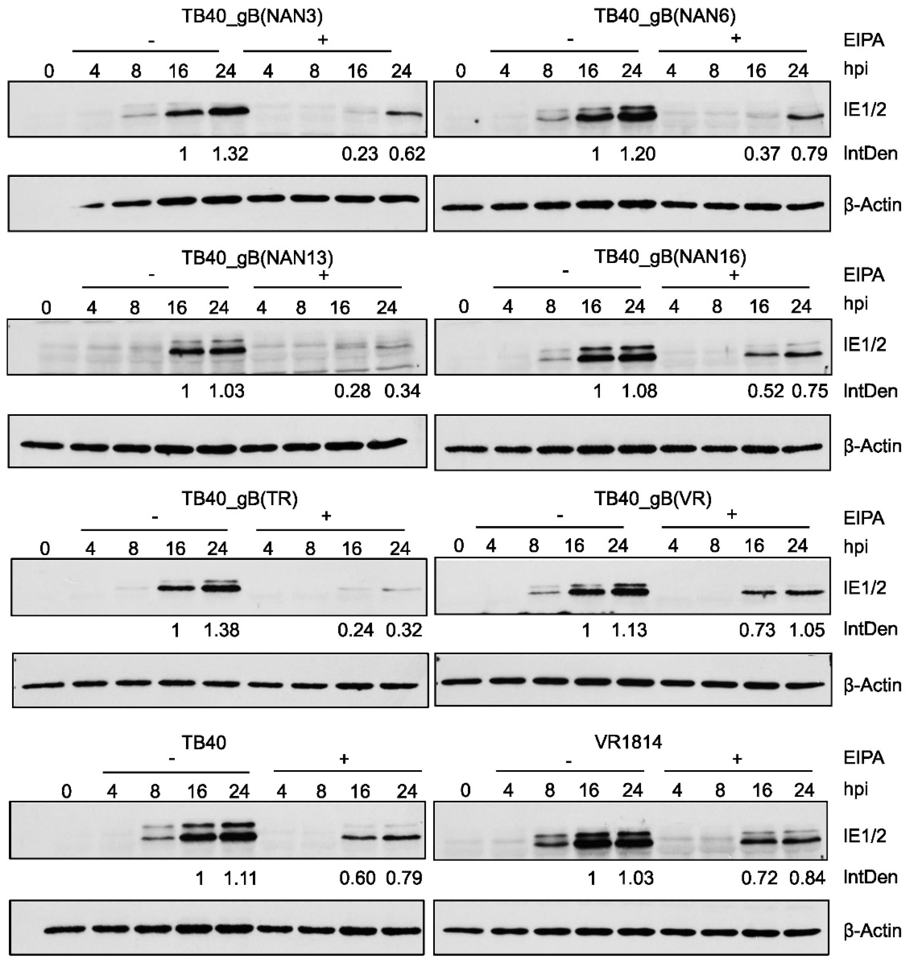 Preprints 69272 g007