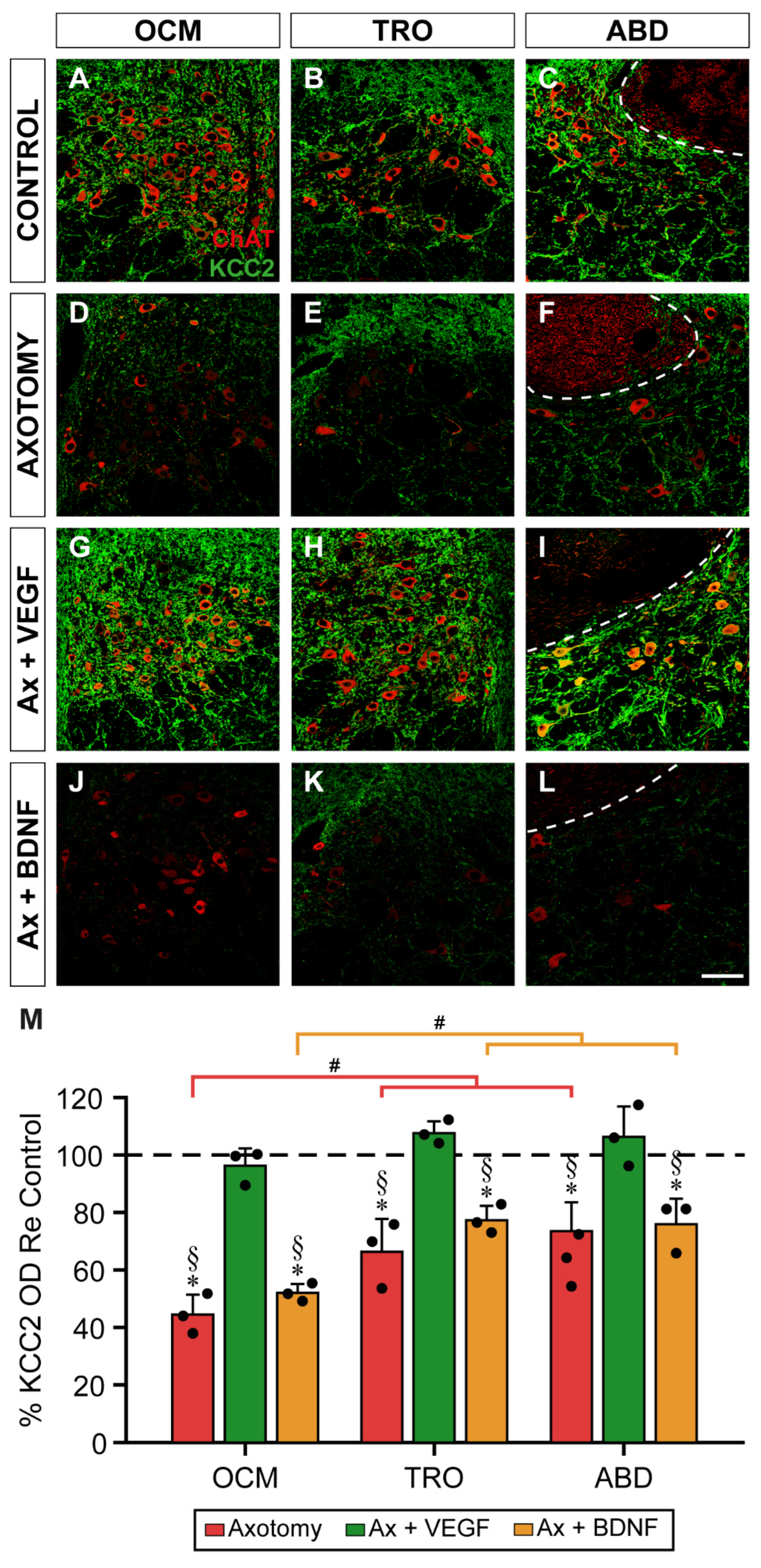 Preprints 115221 g004