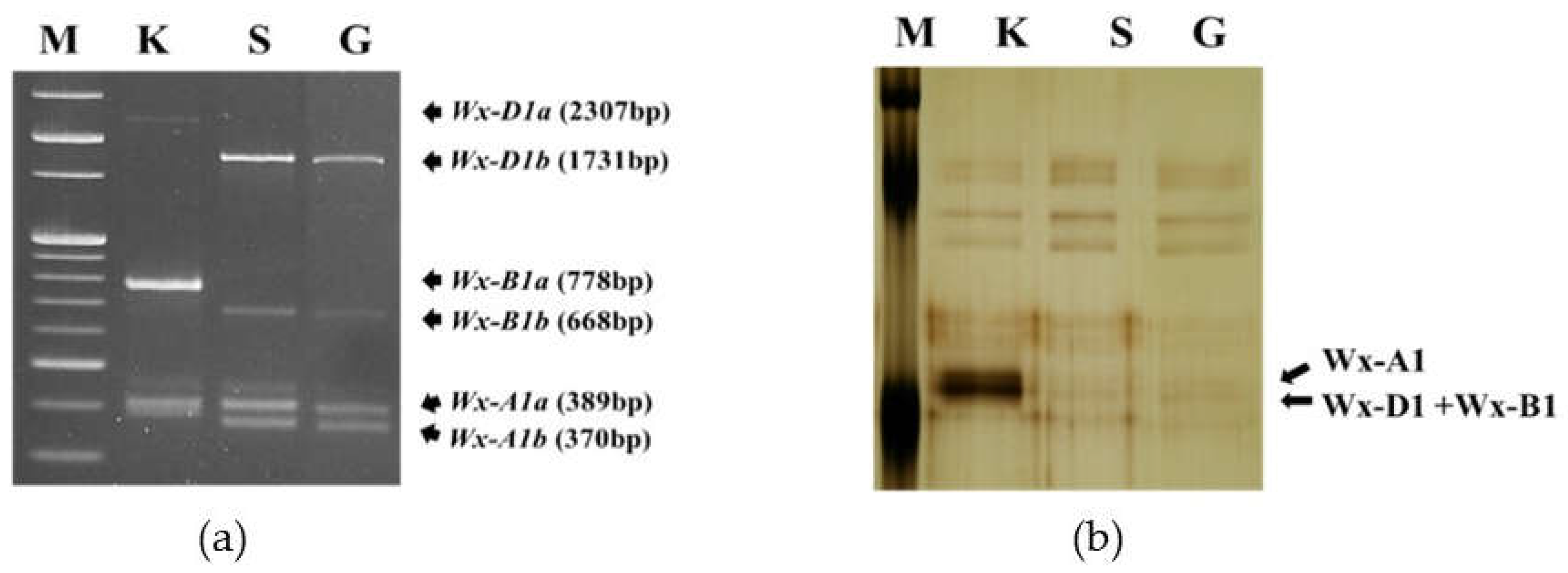 Preprints 73498 g001