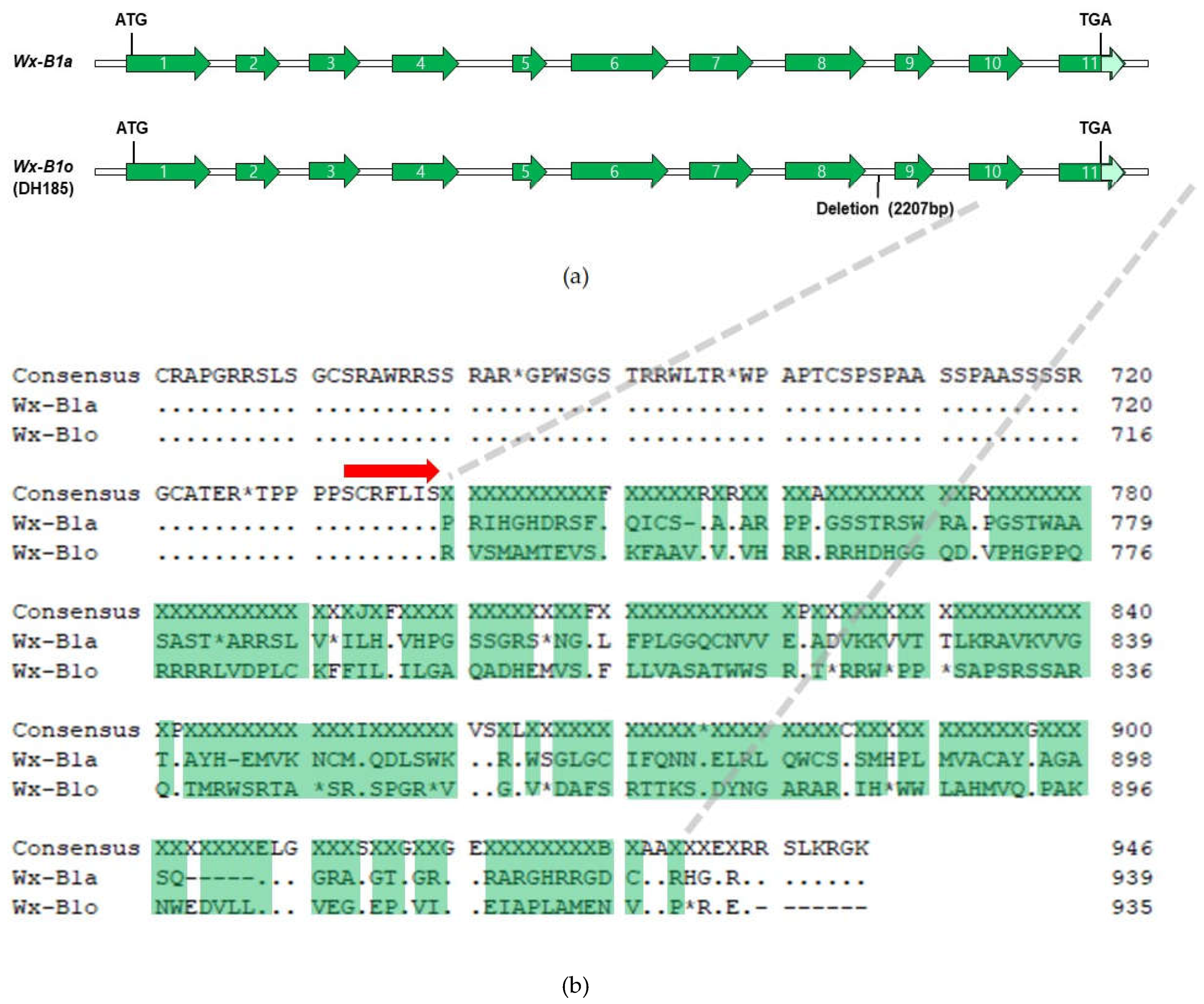 Preprints 73498 g004