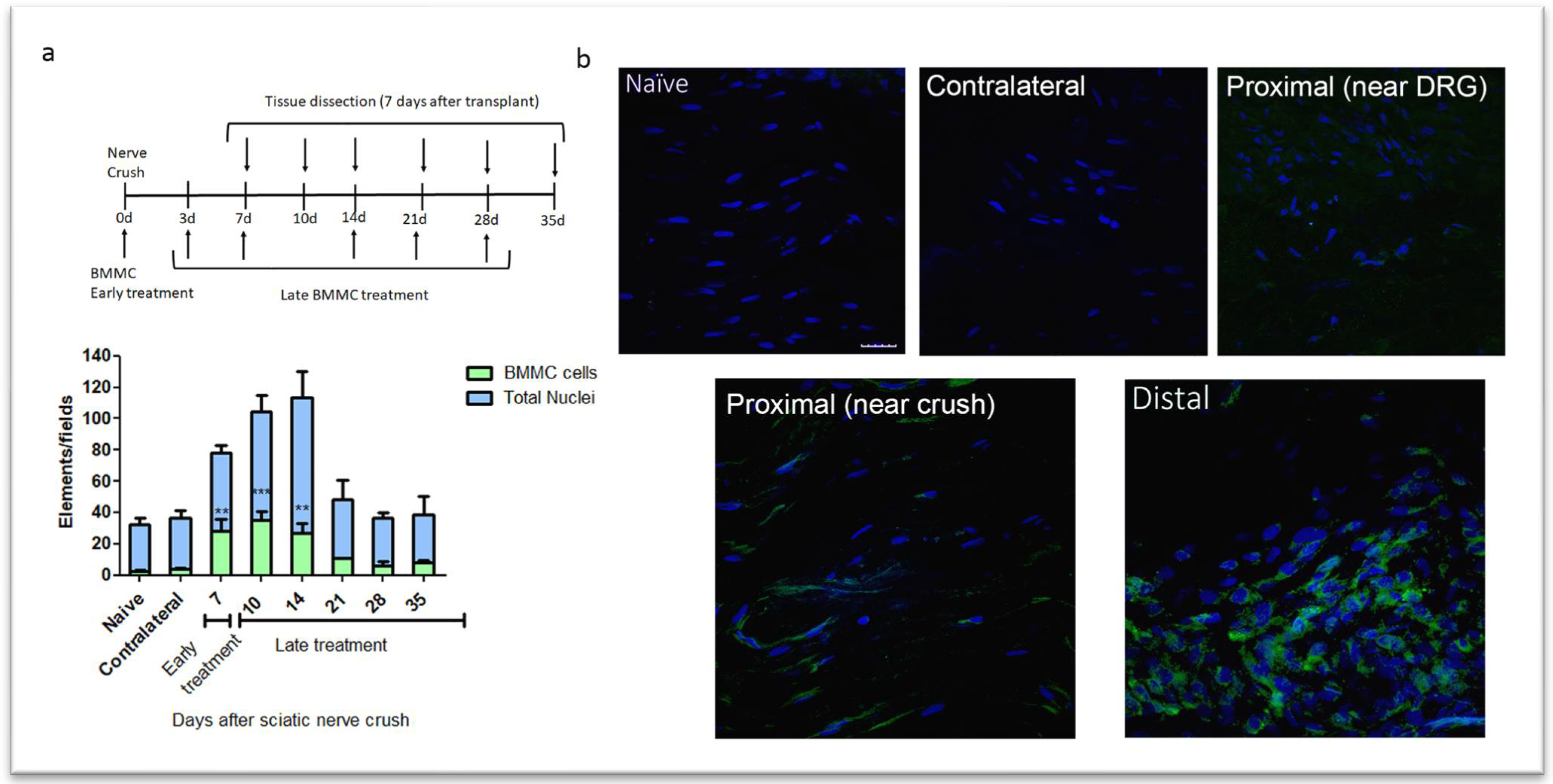 Preprints 105576 g001