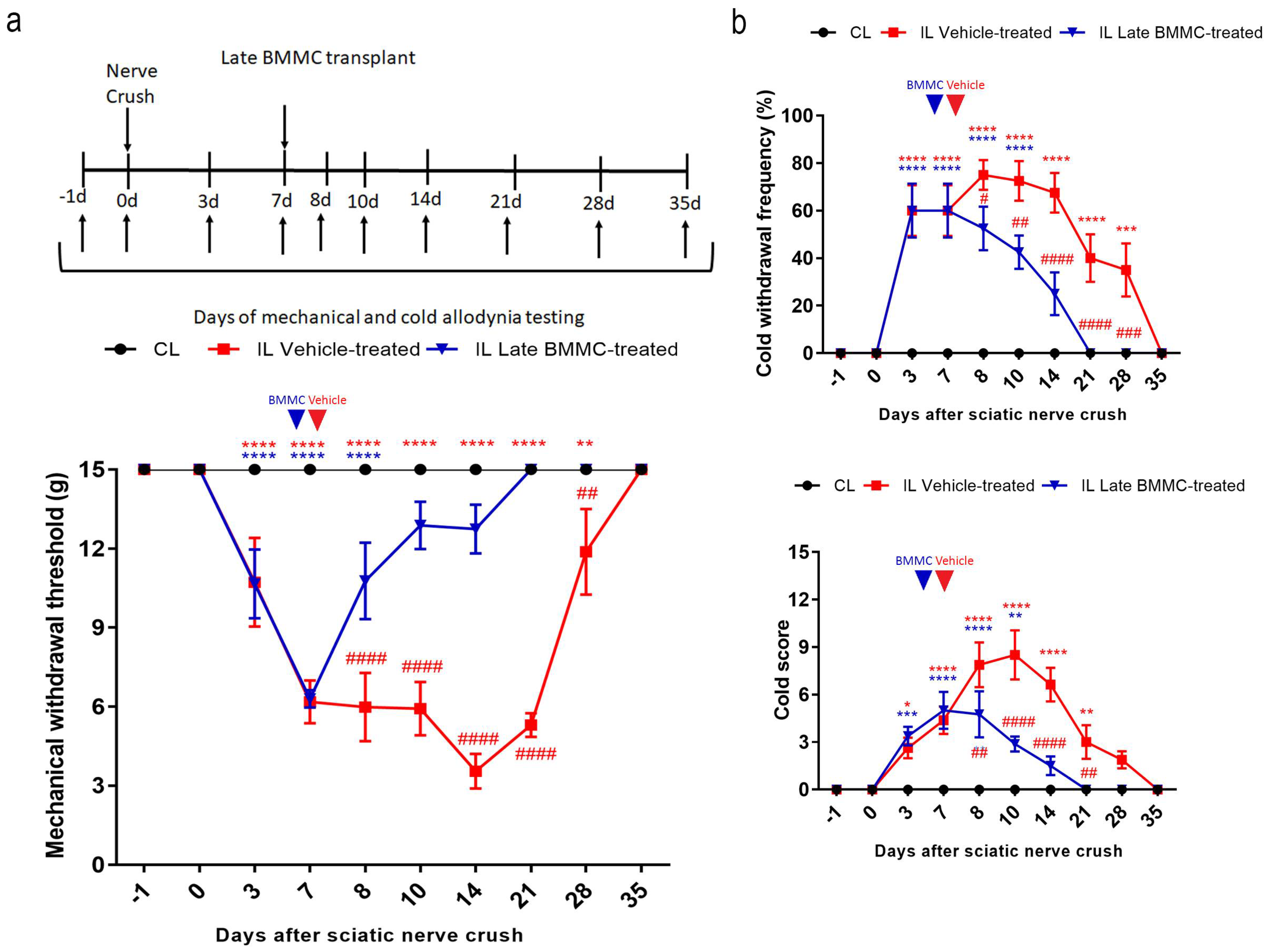 Preprints 105576 g002