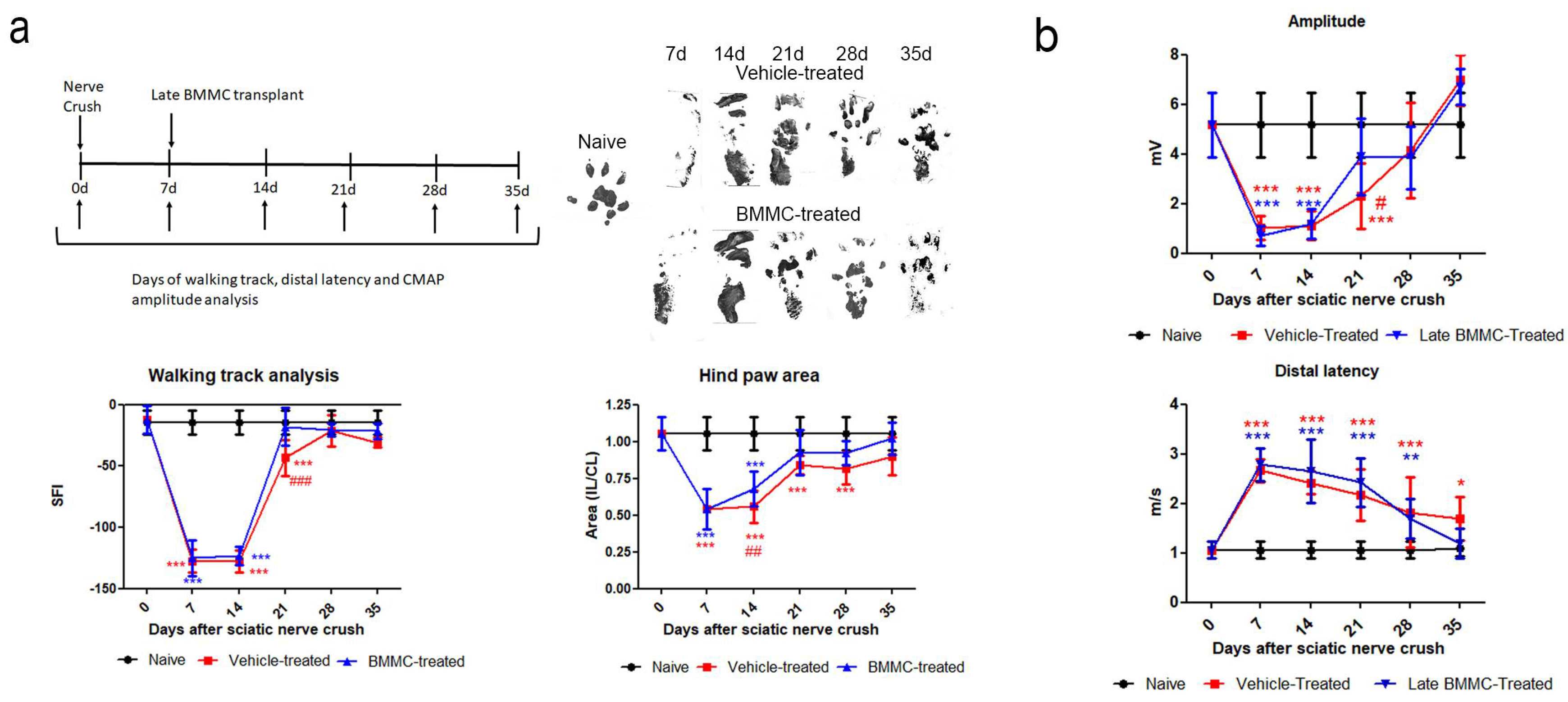 Preprints 105576 g003