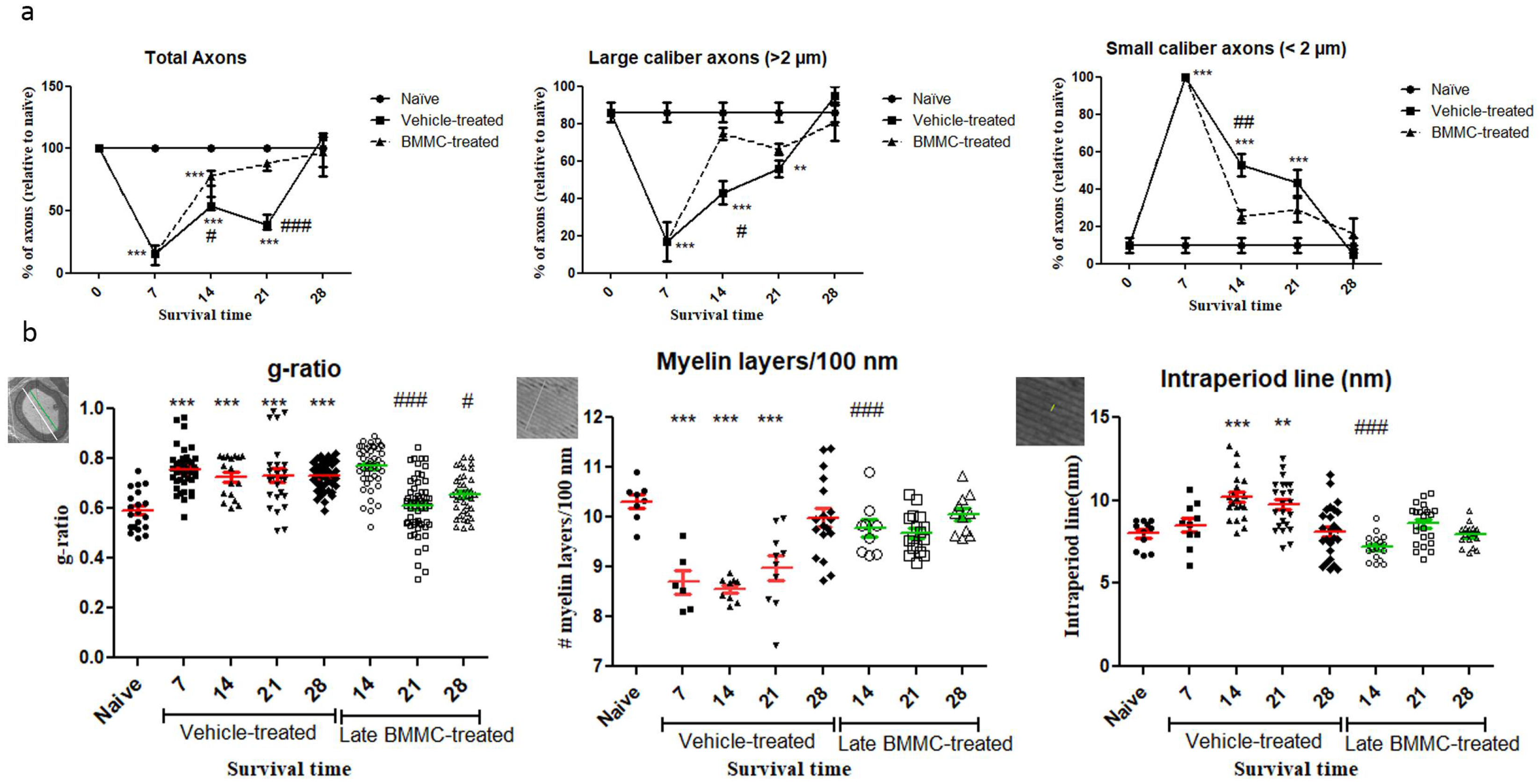 Preprints 105576 g006