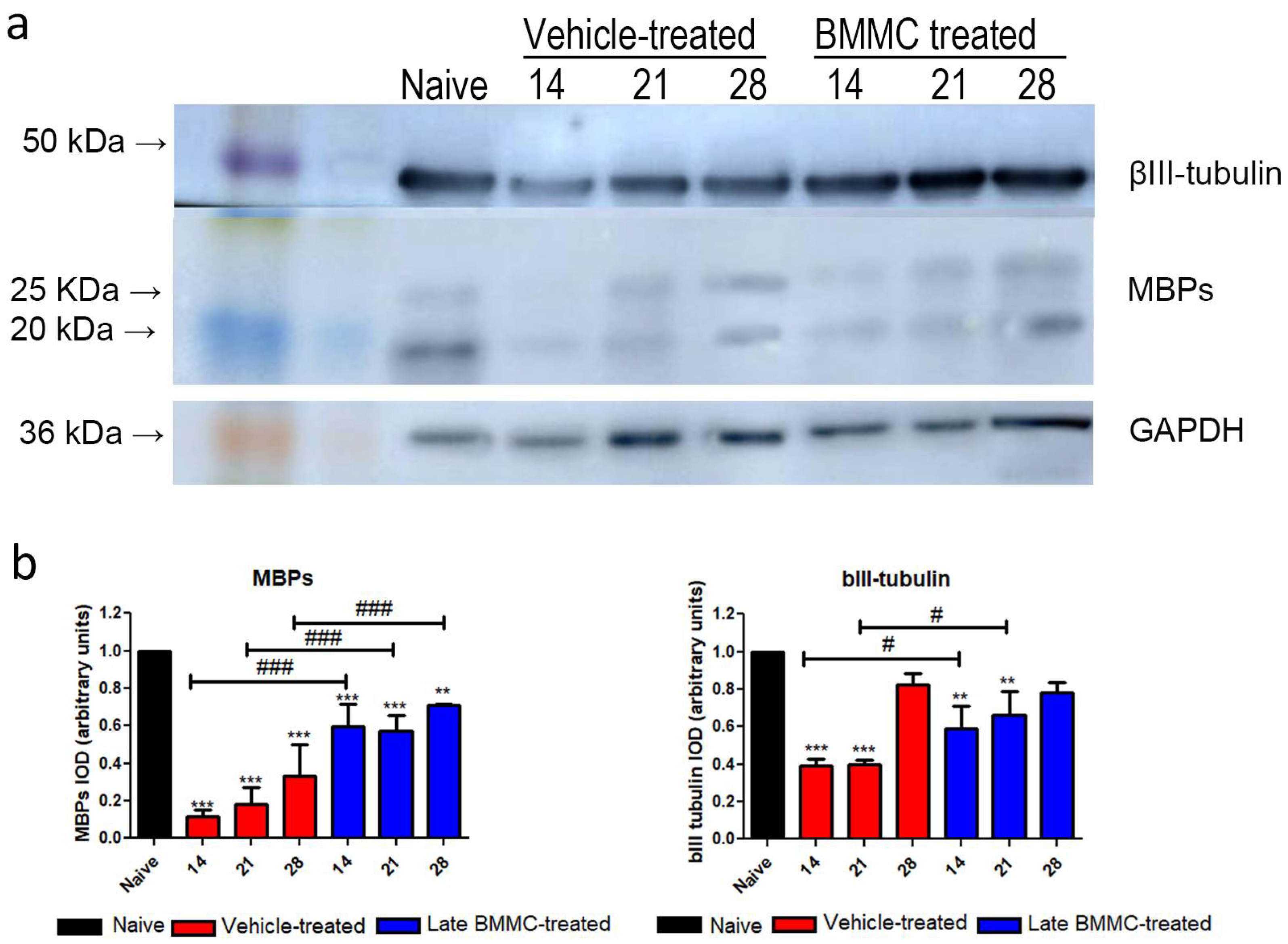 Preprints 105576 g007