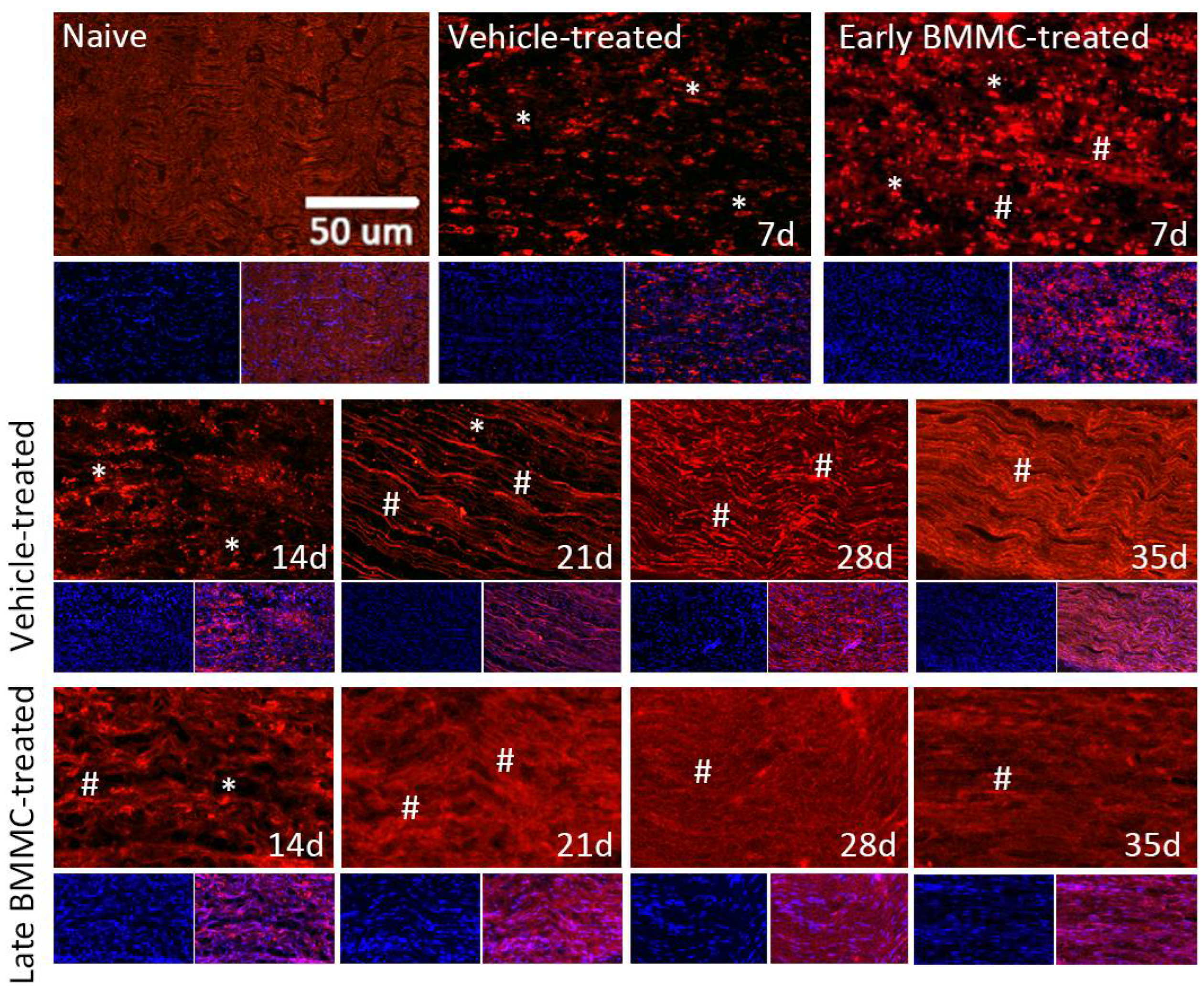 Preprints 105576 g008