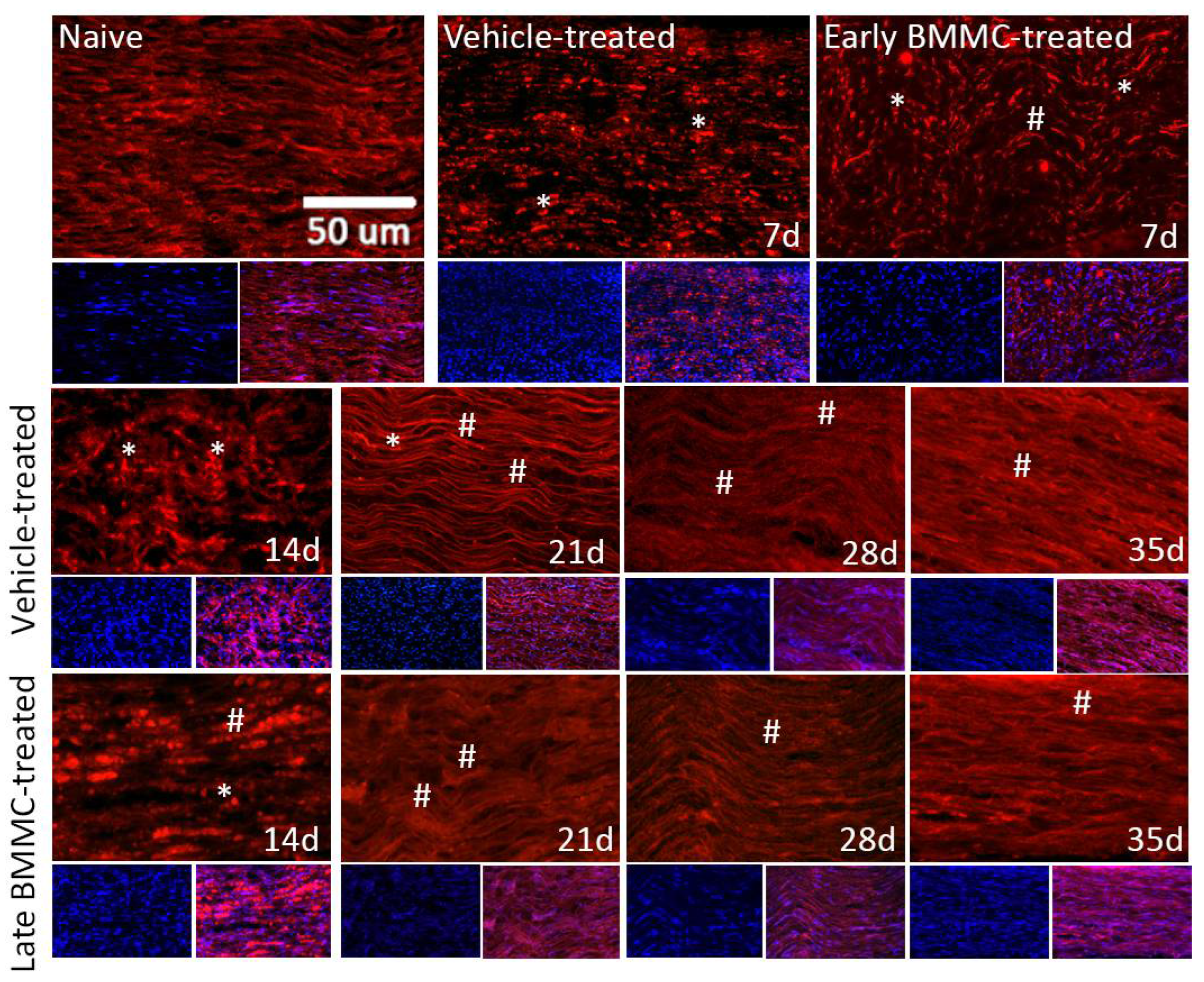 Preprints 105576 g009