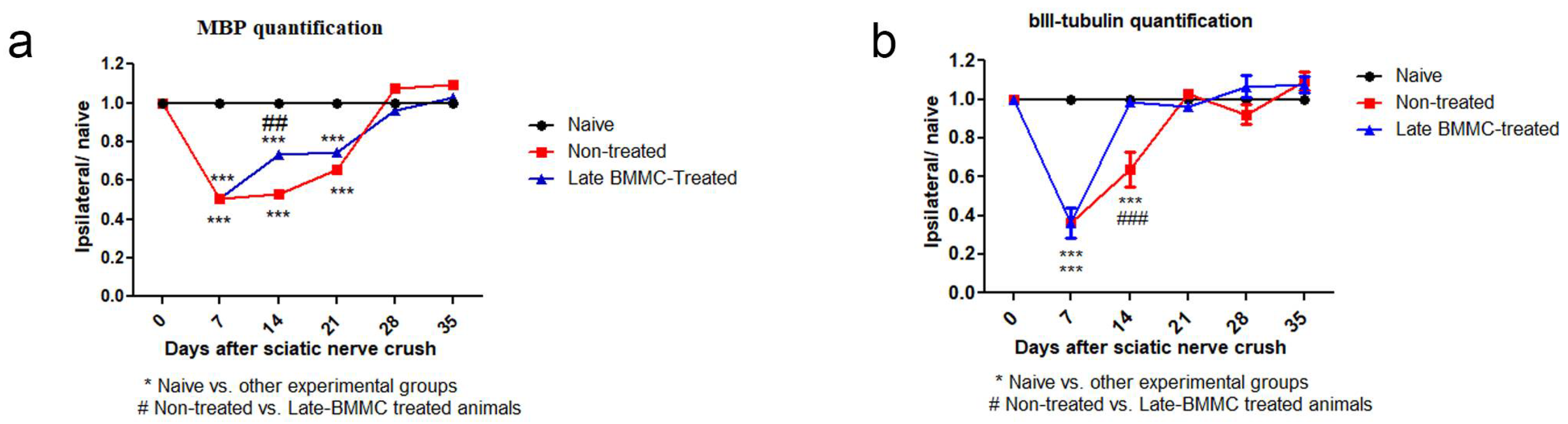 Preprints 105576 g010