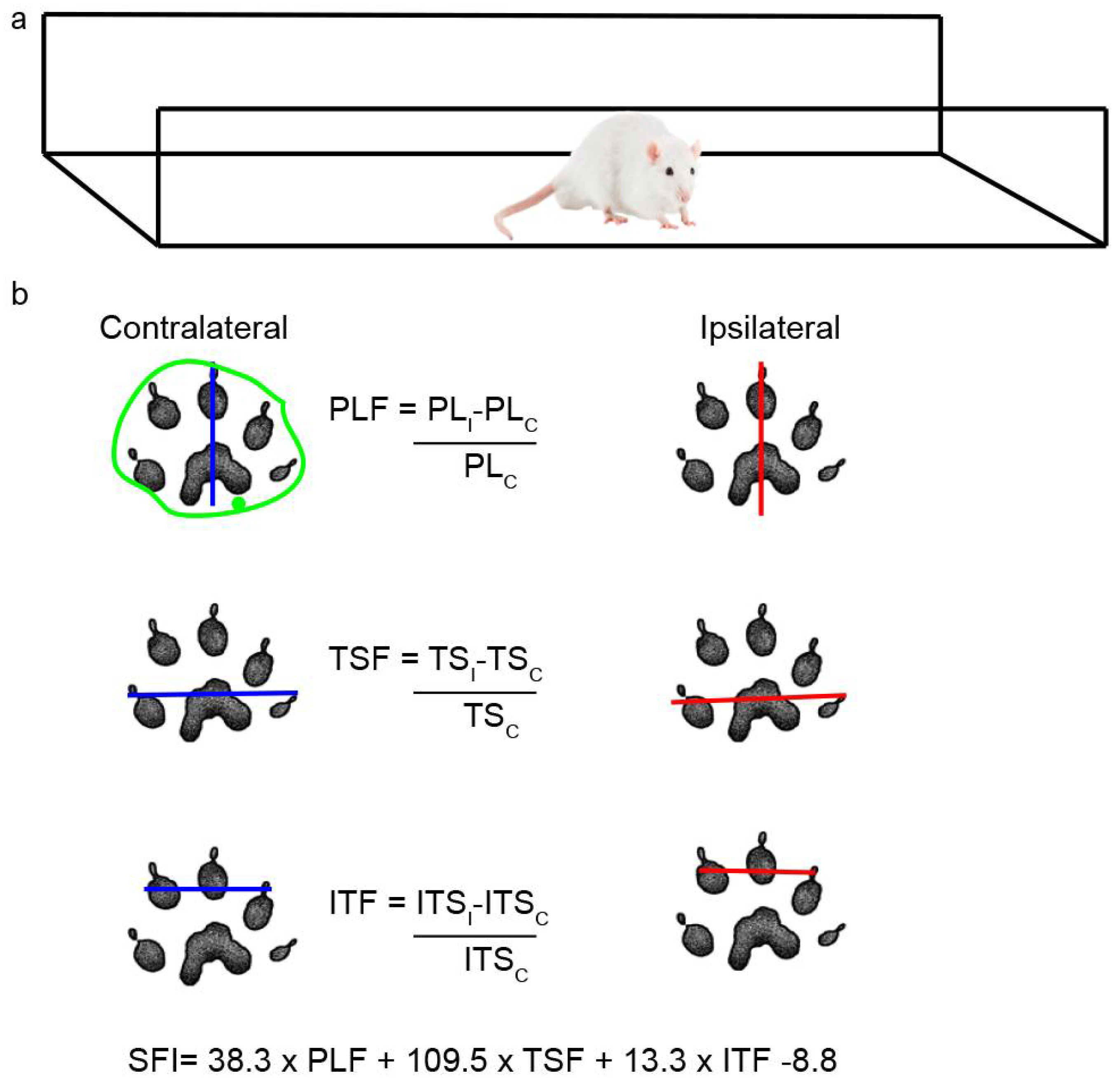 Preprints 105576 g011