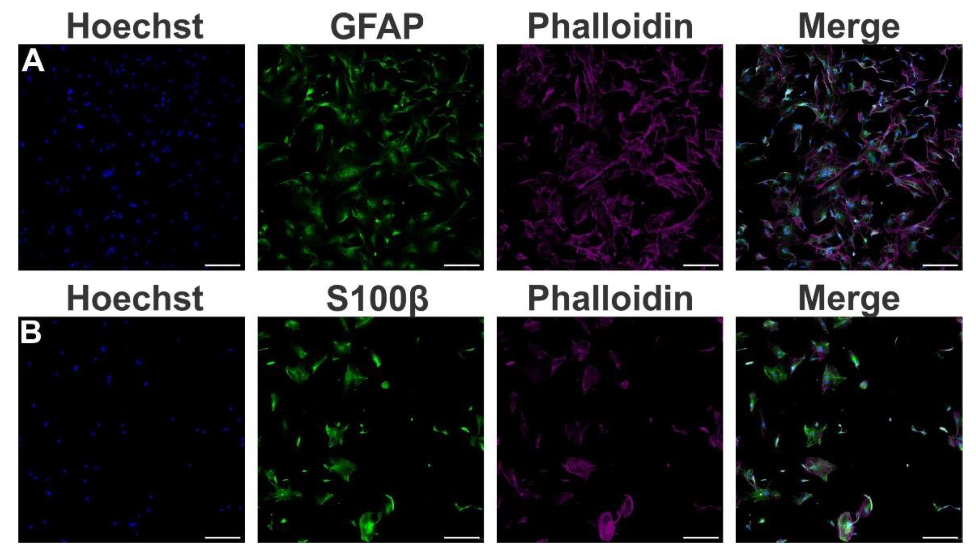 Preprints 75200 g001