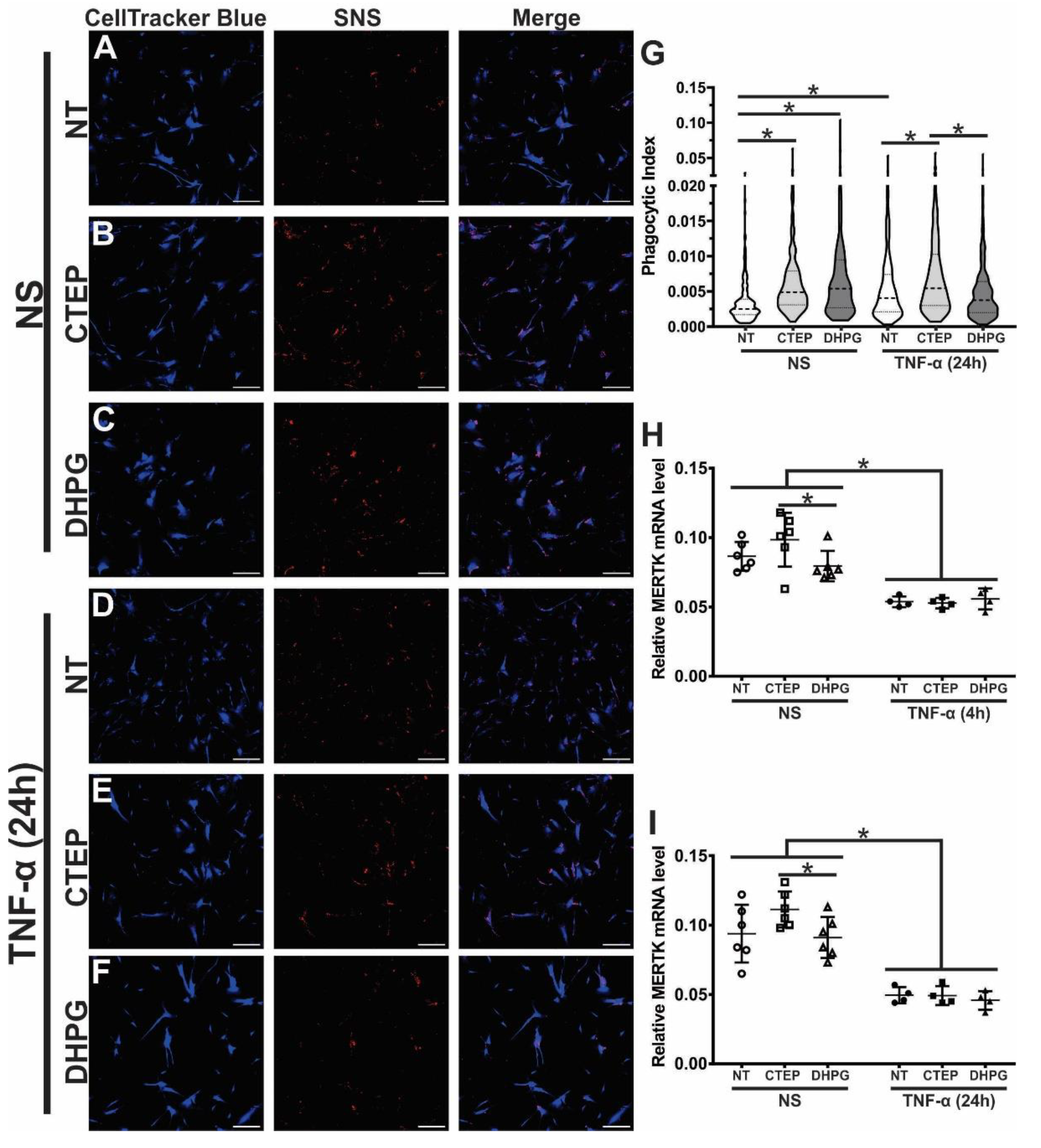 Preprints 75200 g004