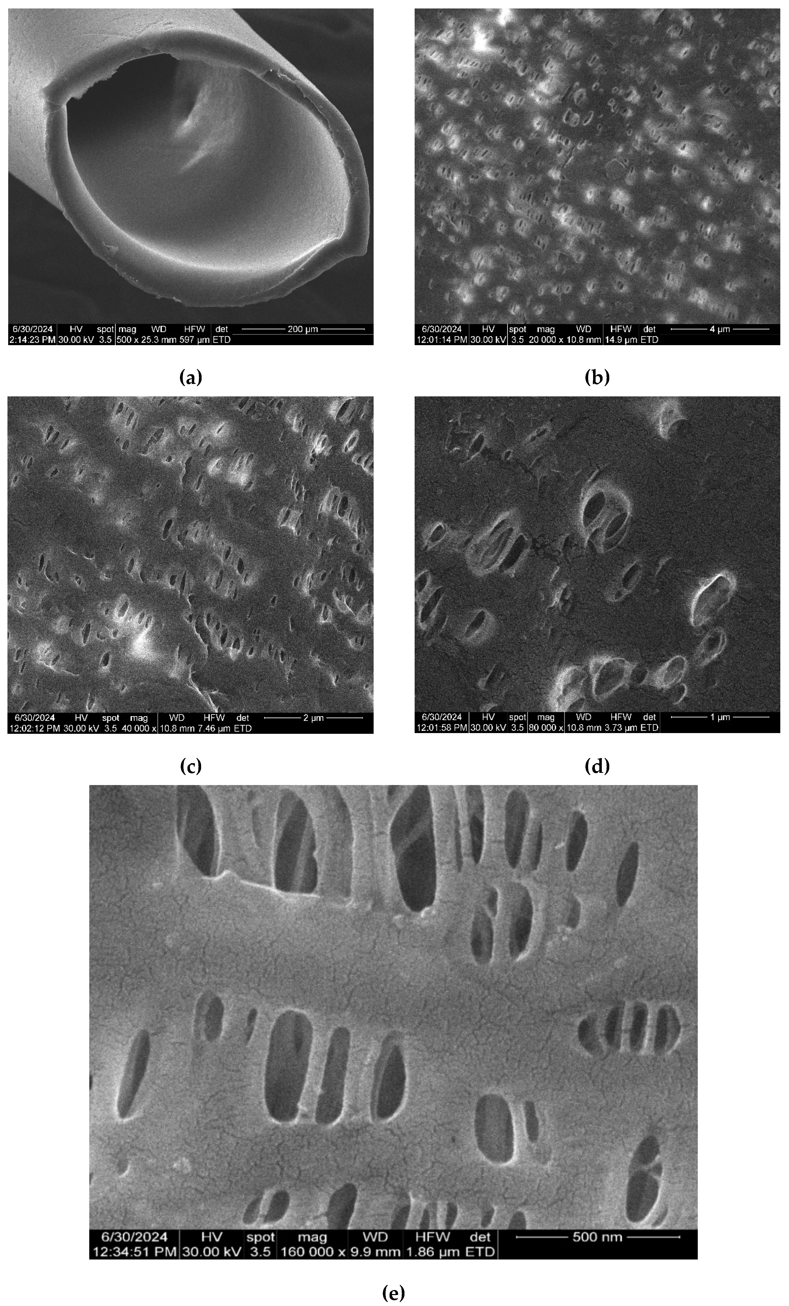 Preprints 112760 g004