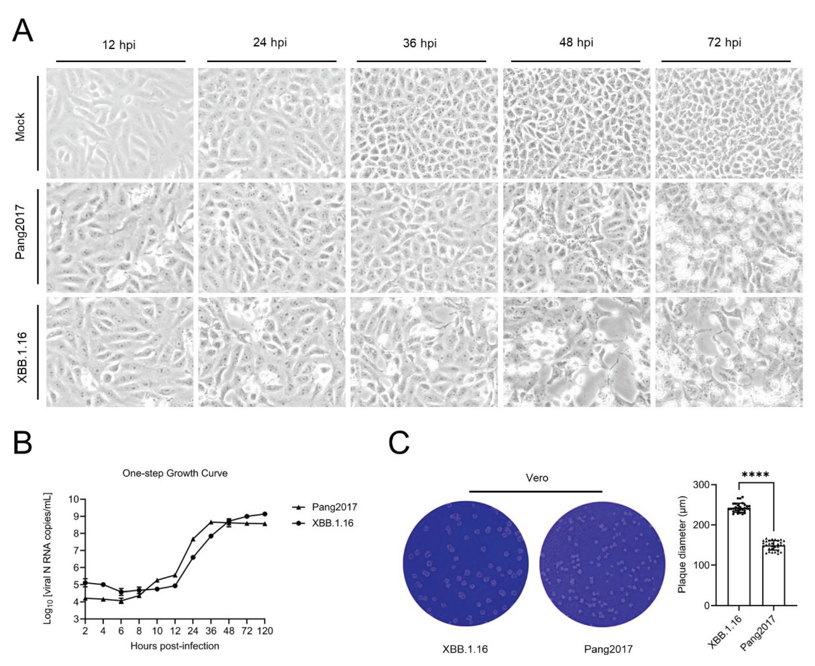 Preprints 101351 g006