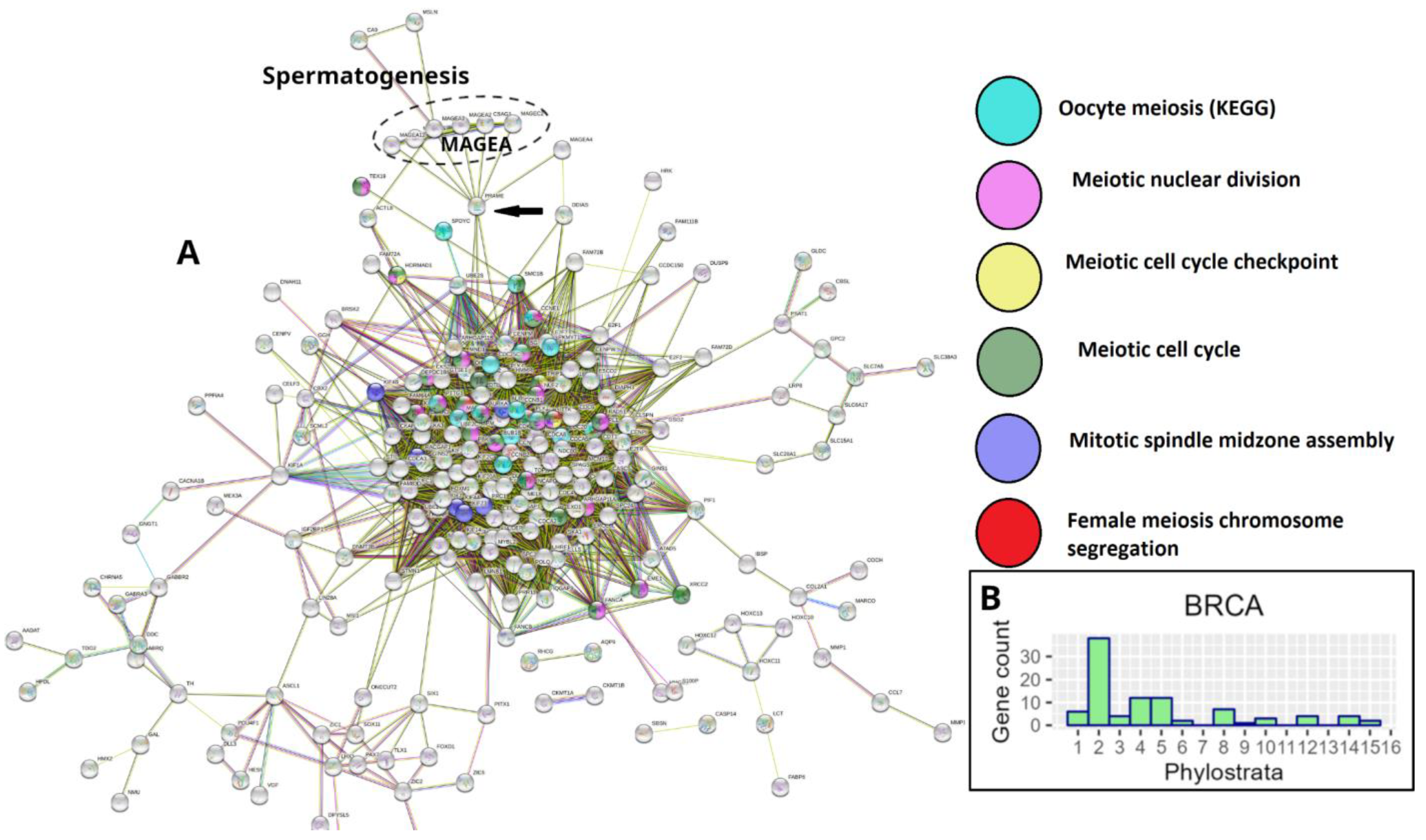 Preprints 76224 g003