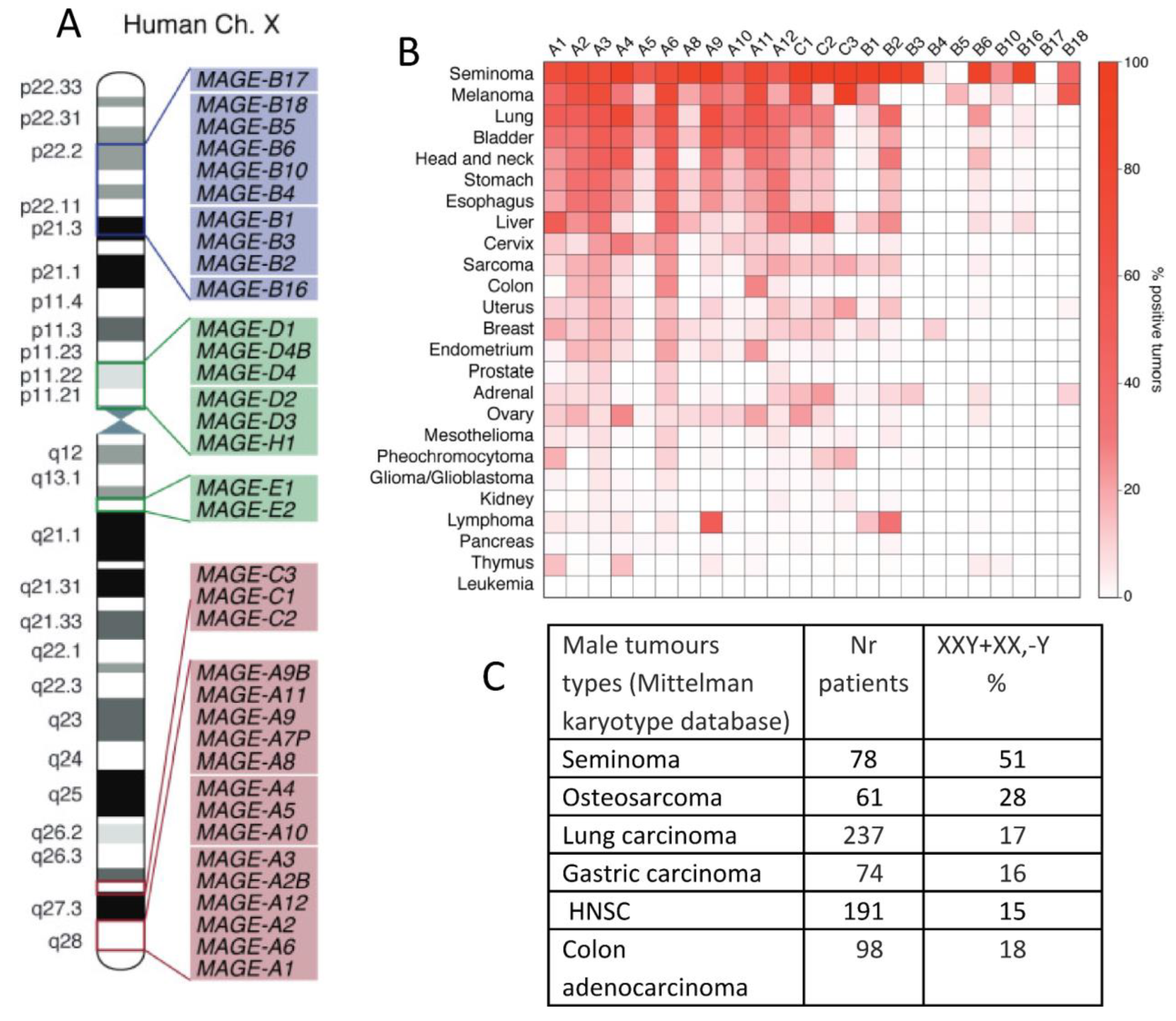 Preprints 76224 g004