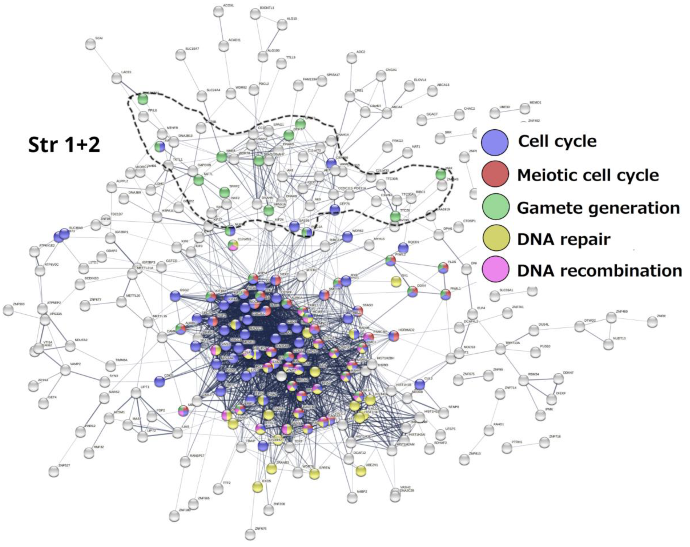 Preprints 76224 g005