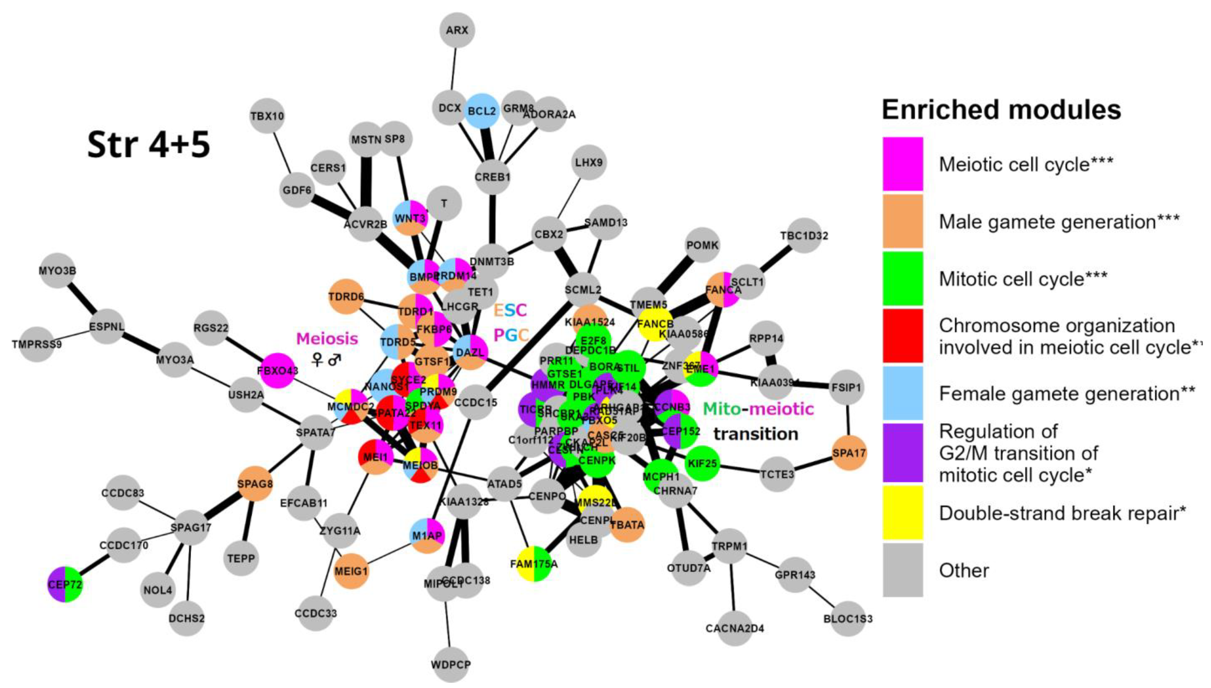 Preprints 76224 g006