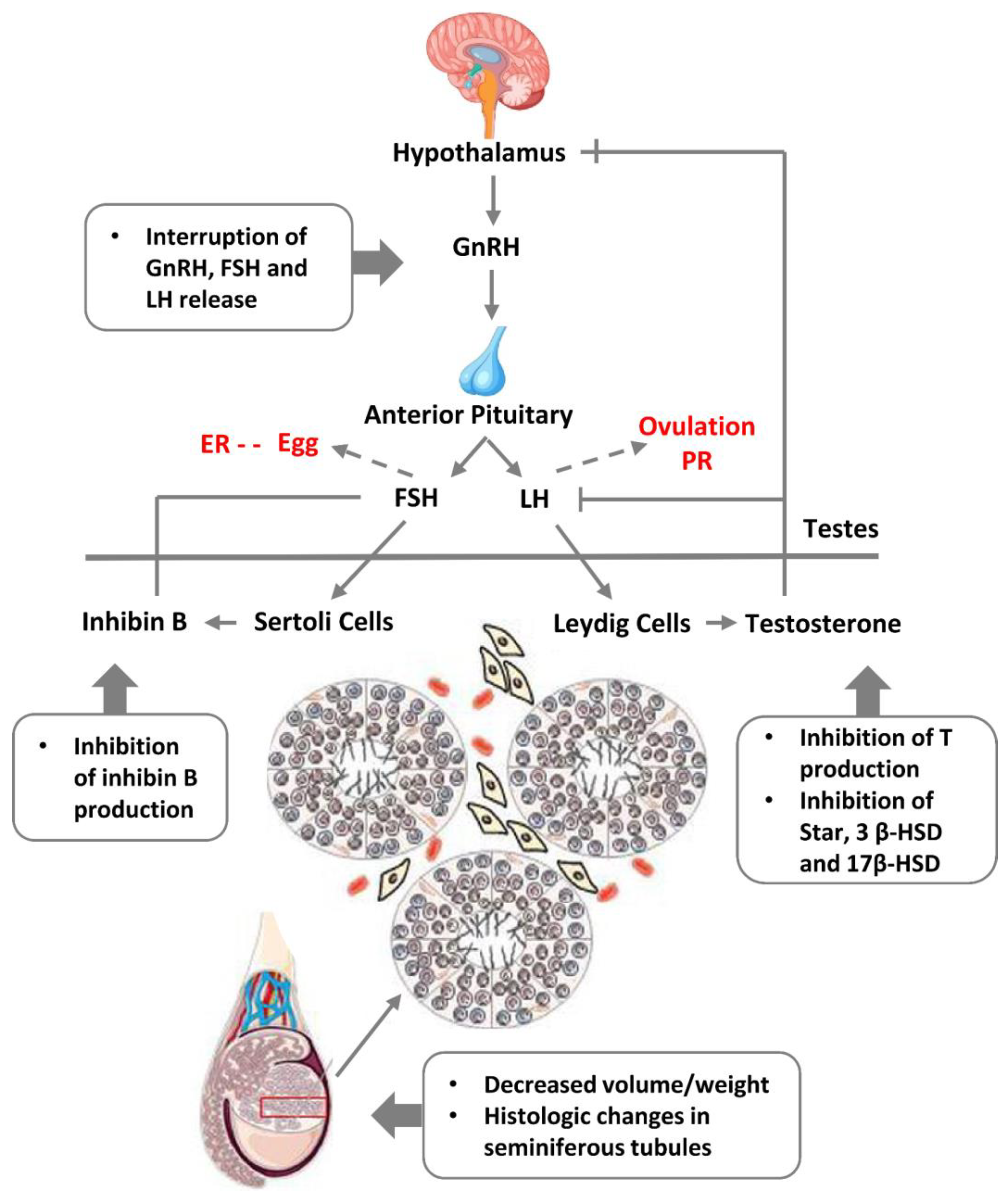 Preprints 76224 g013