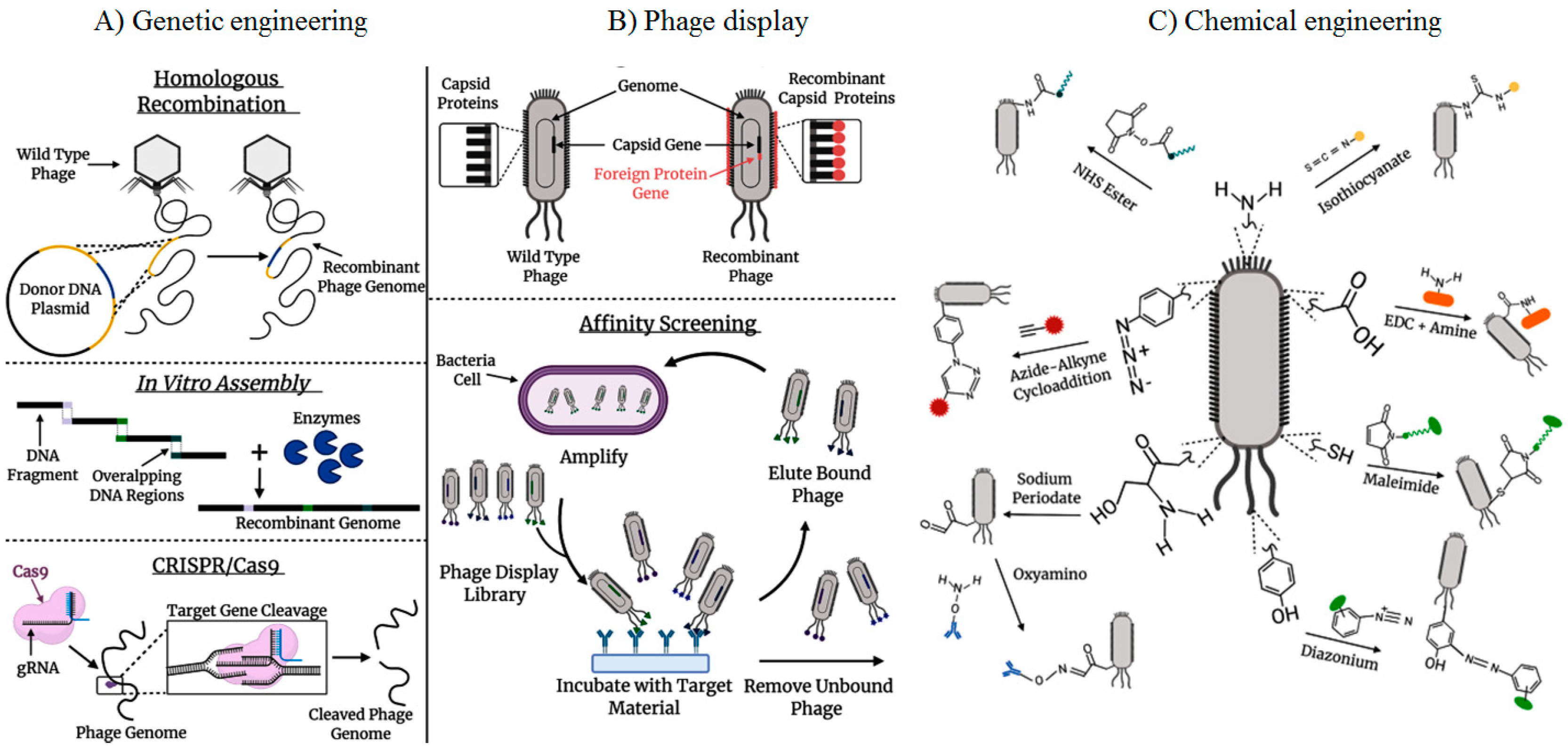 Preprints 97972 g001